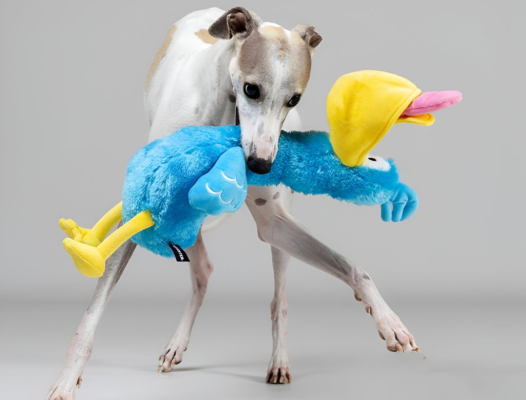 Pelican Plush Dog Toy – Catch, Chew Play!