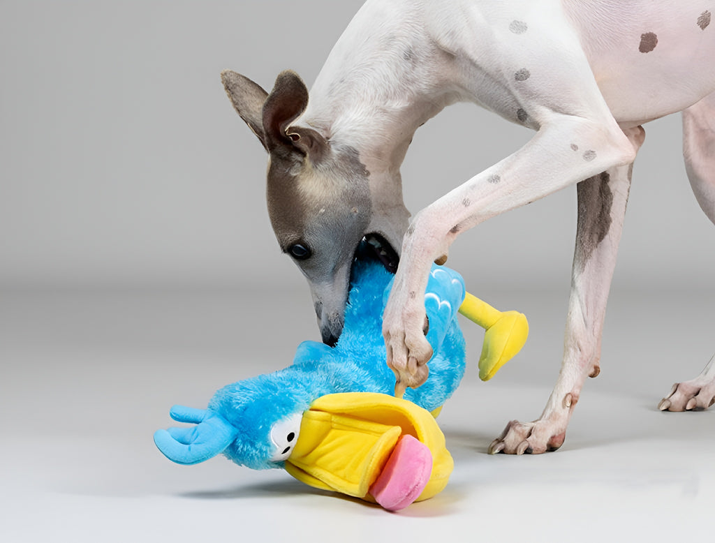 Pelican Plush Dog Toy – Catch, Chew Play!