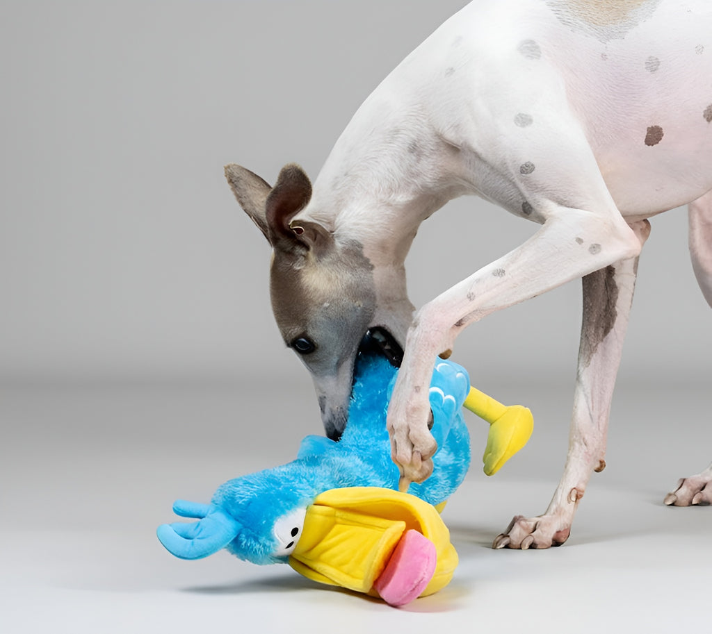 Pelican Plush Dog Toy – Catch, Chew Play!