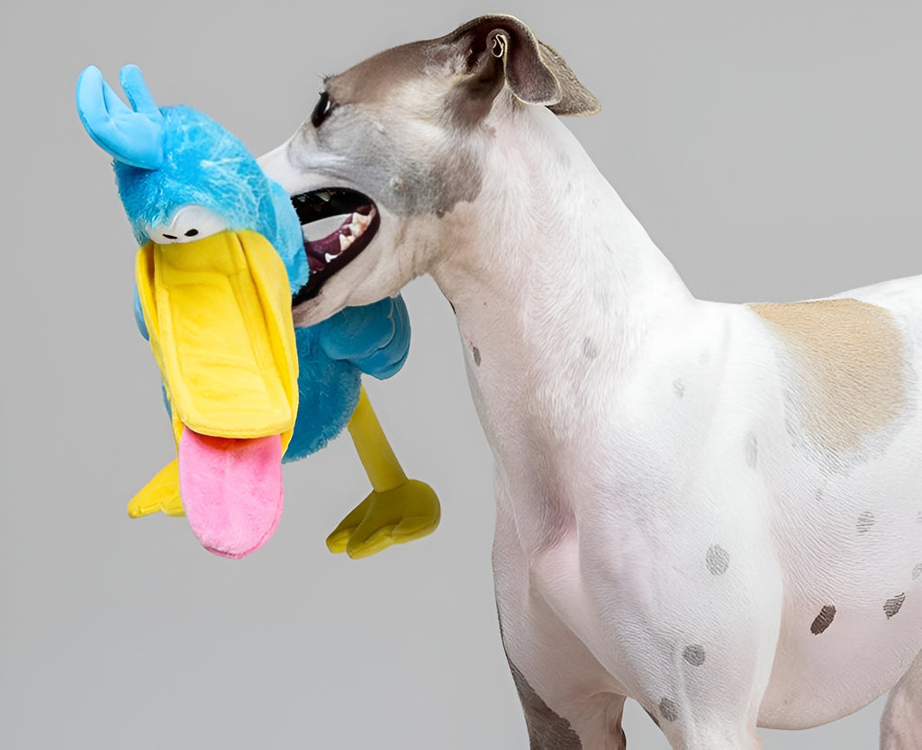 Pelican Plush Dog Toy – Catch, Chew Play!