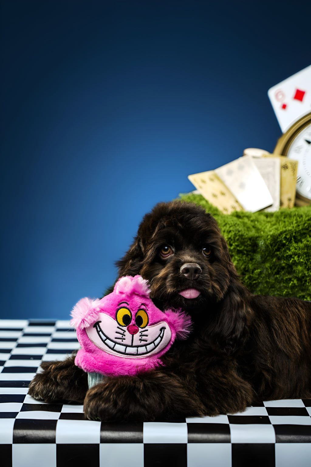 Cheshire Cat Cupcake Plush Toy