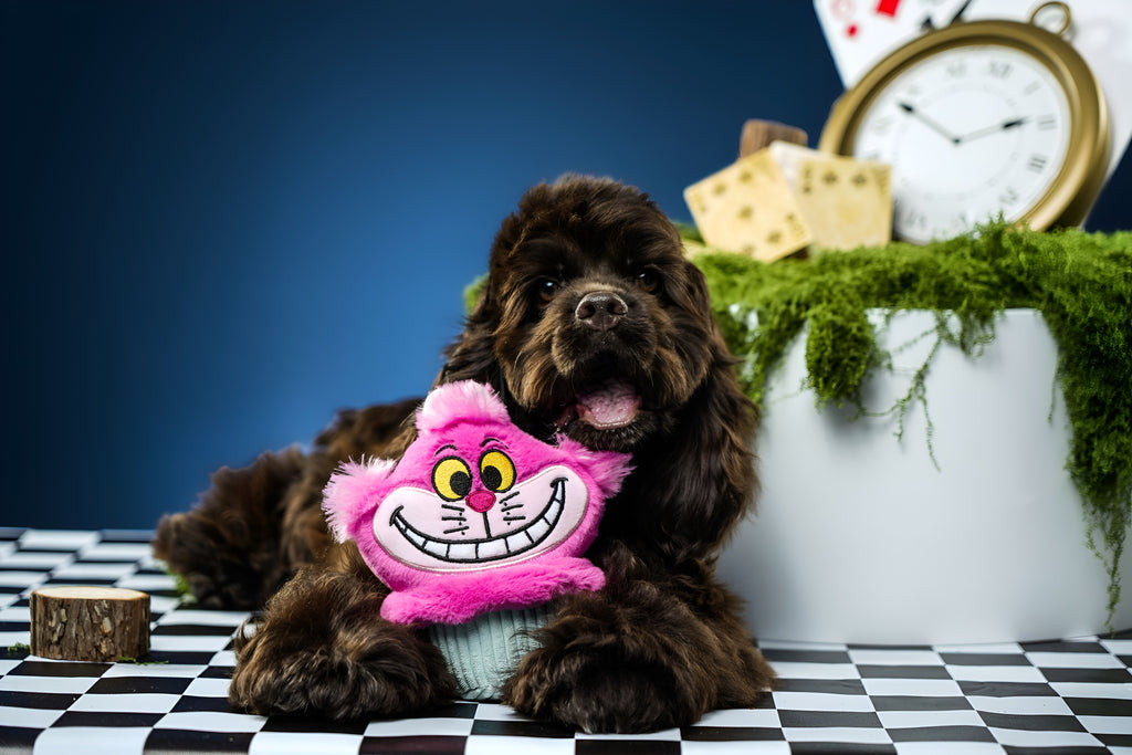 Cheshire Cat Cupcake Plush Toy