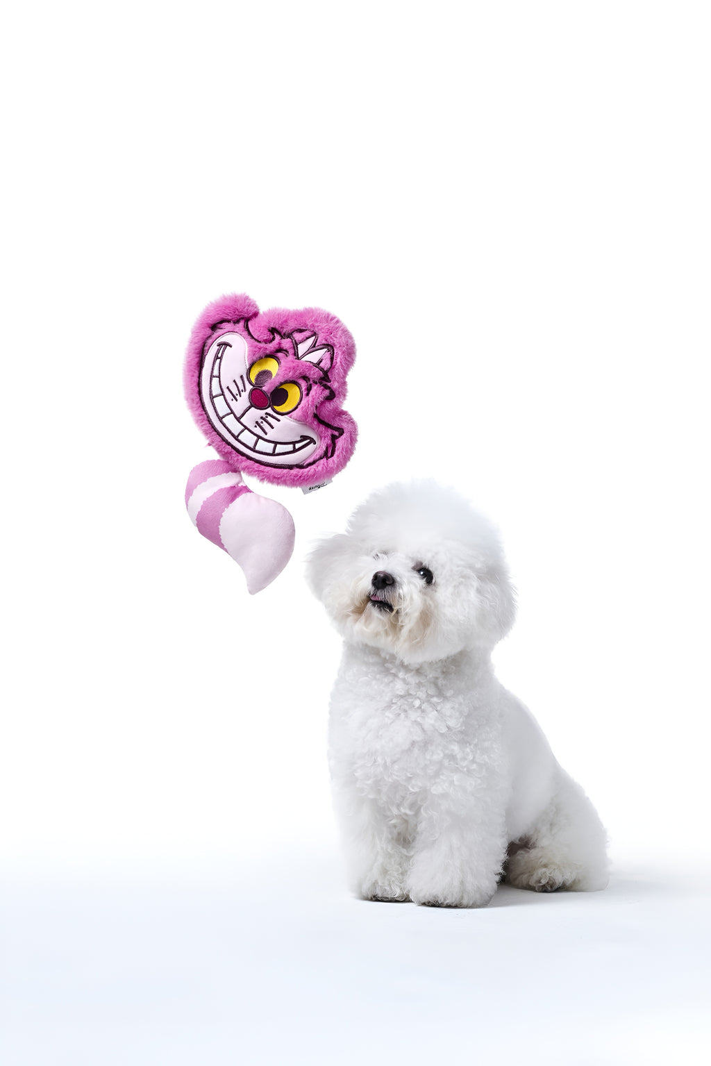 Cheshire Cat Crinkle Toy for Dogs💜