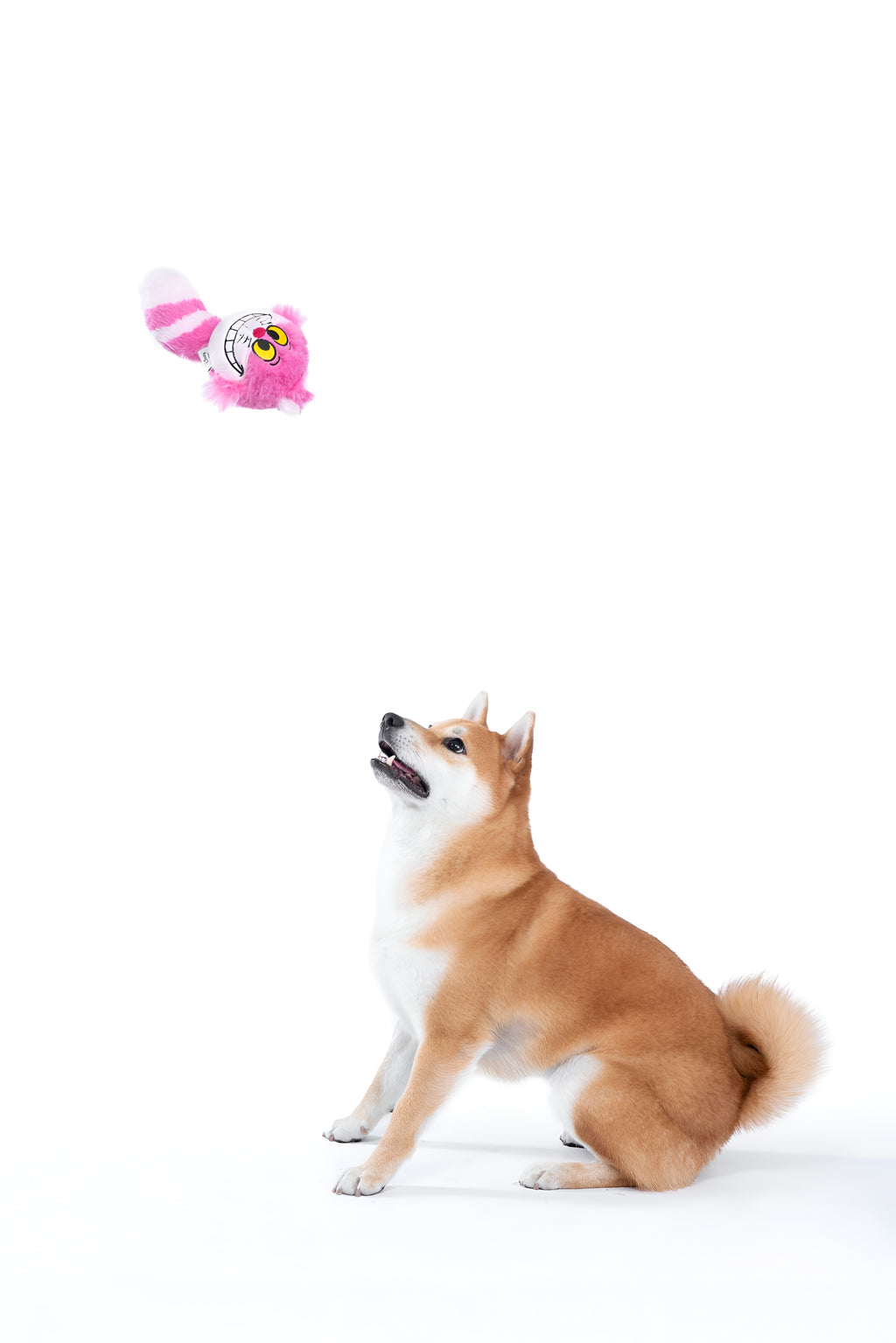 Cheshire Cat Tail Plush Toy