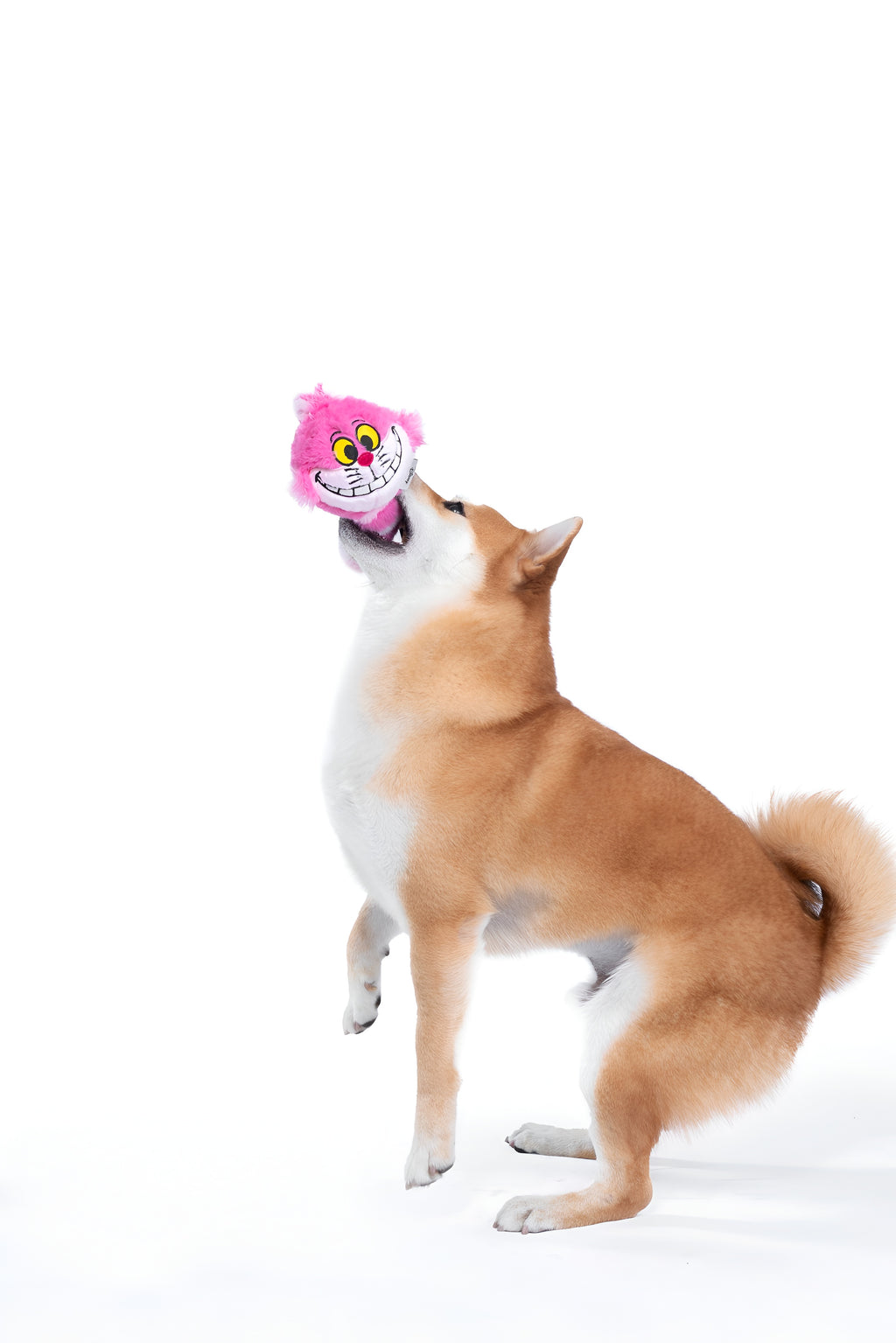 Cheshire Cat Tail Plush Toy