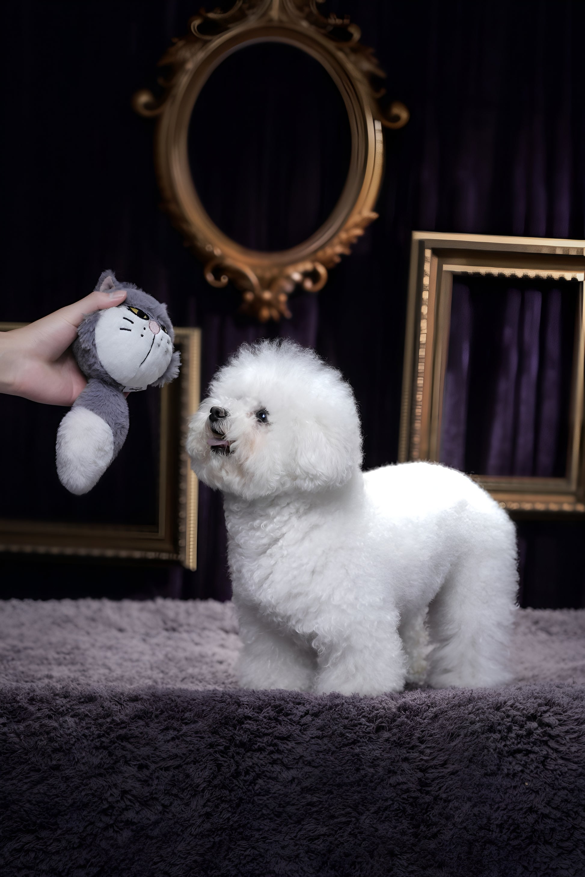 Tough Grey Cat Plush Toy