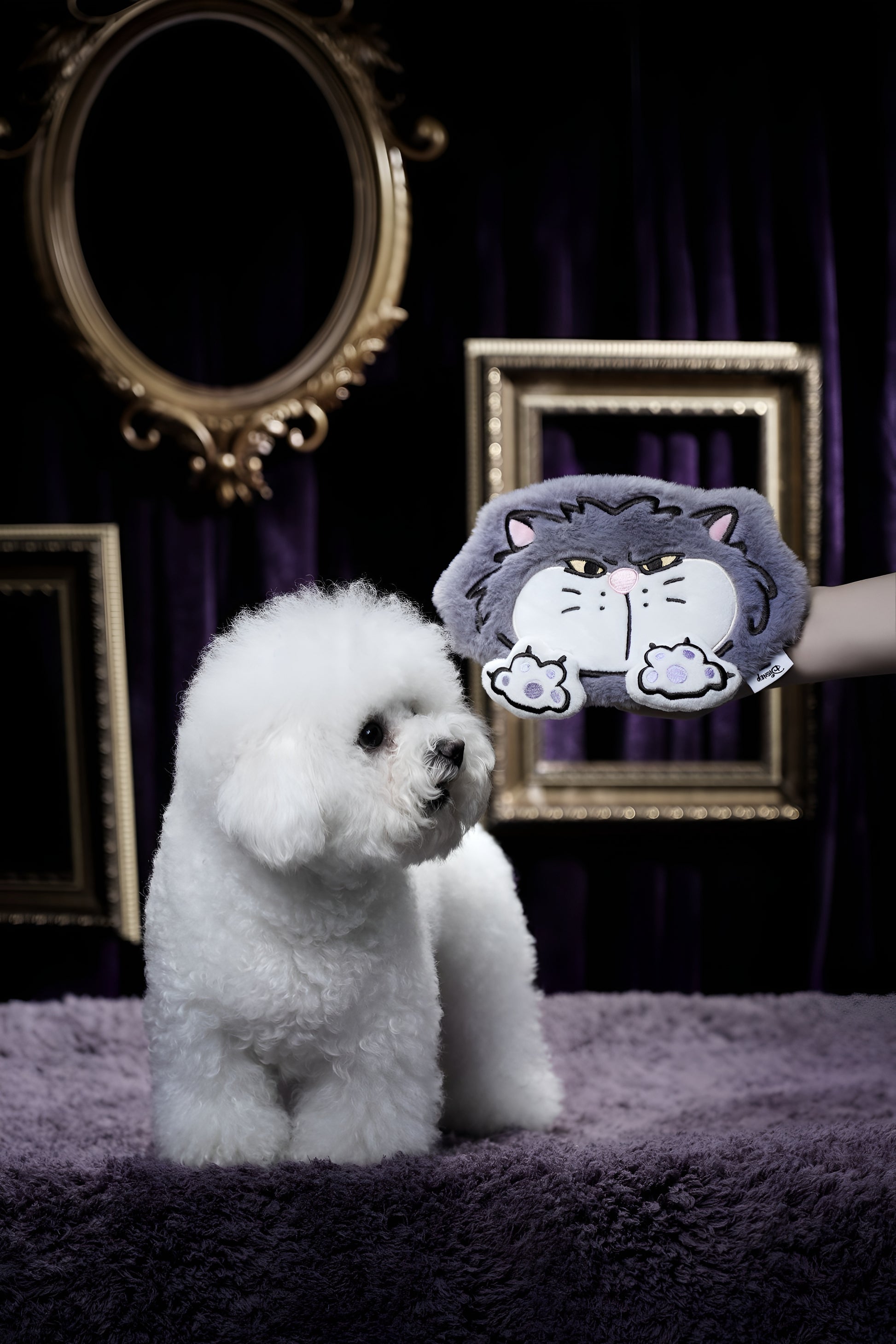 Grumpy Grey Cat Face Crinkle Toy! 😾🐱