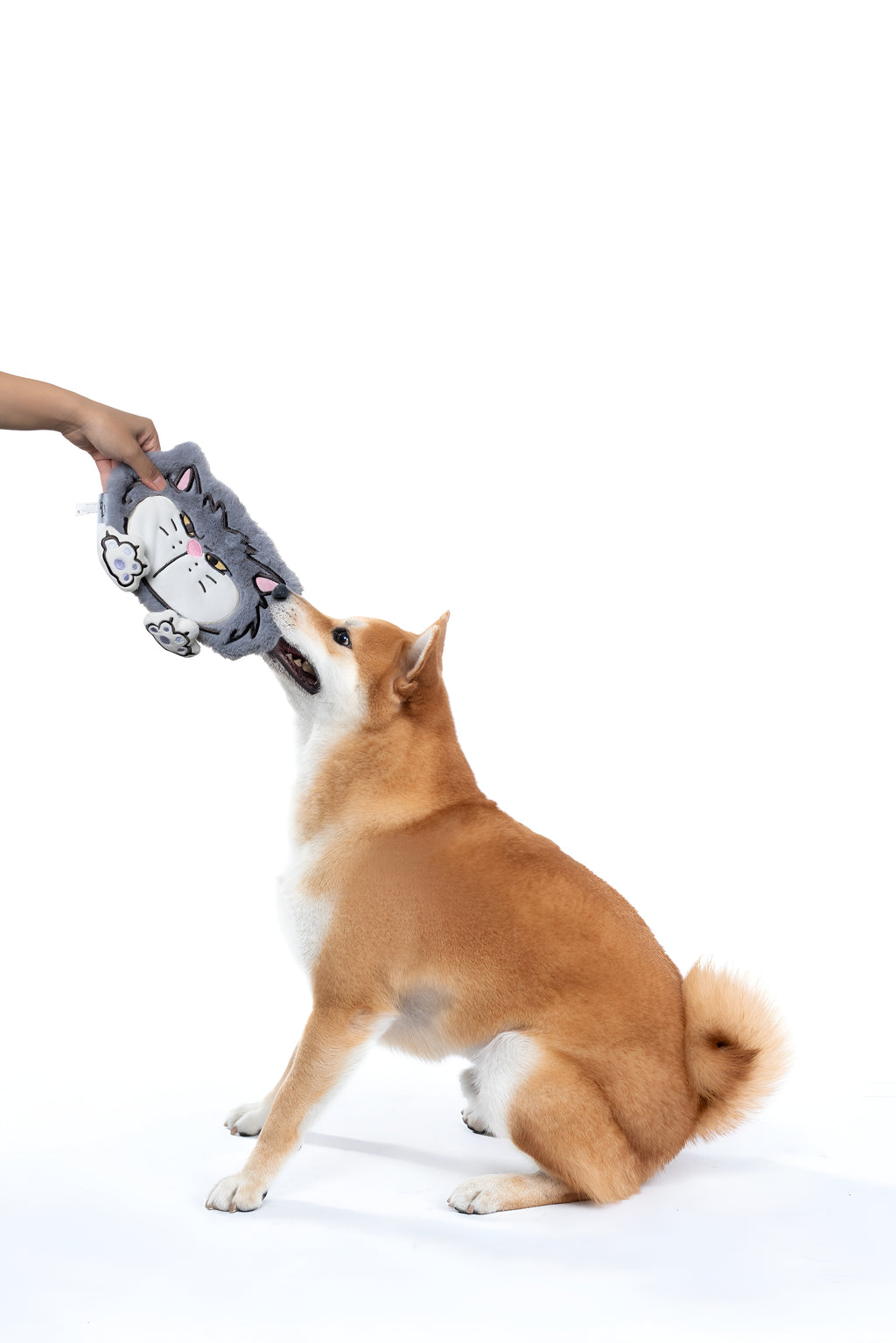 Grumpy Grey Cat Face Crinkle Toy! 😾🐱