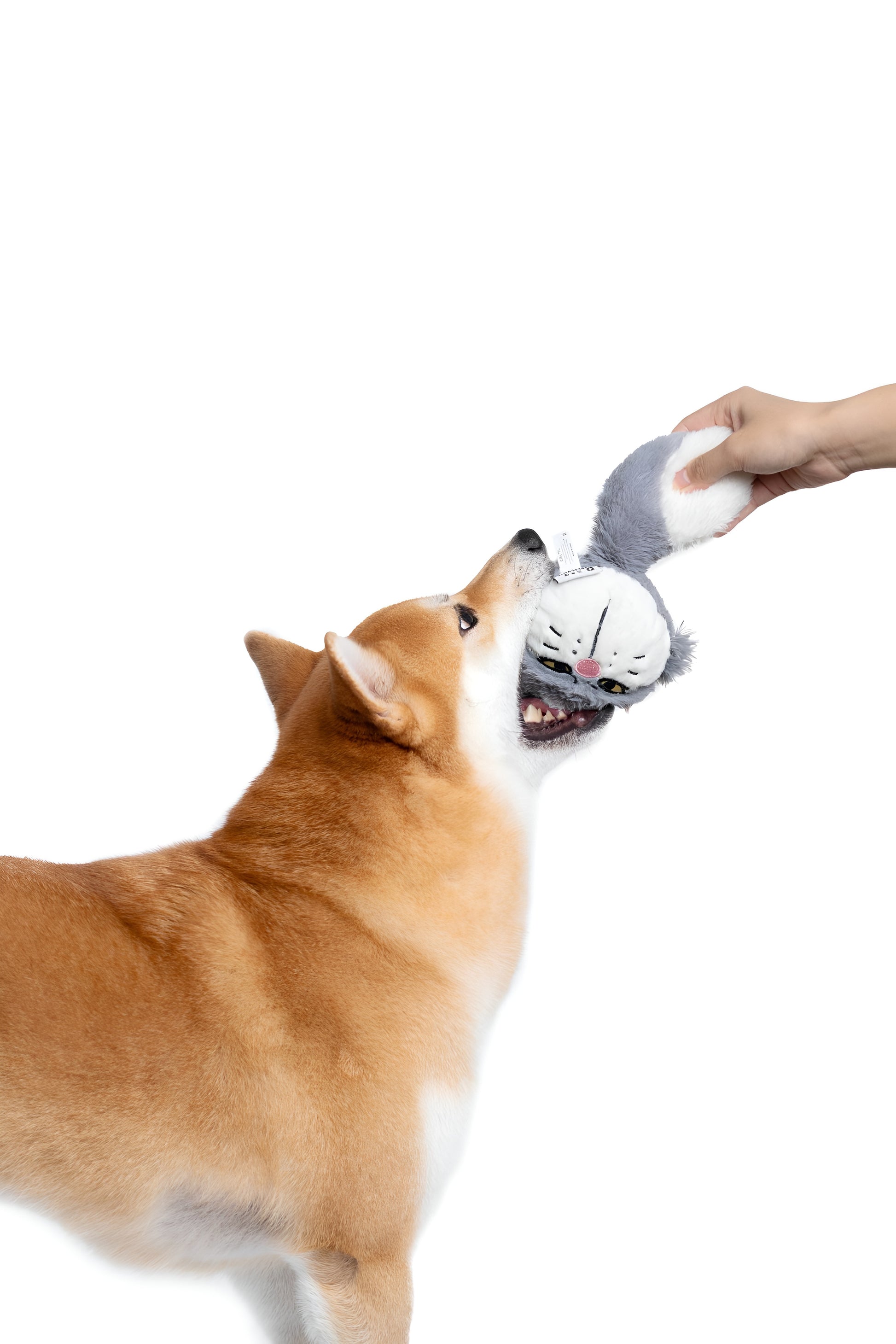 Tough Grey Cat Plush Toy