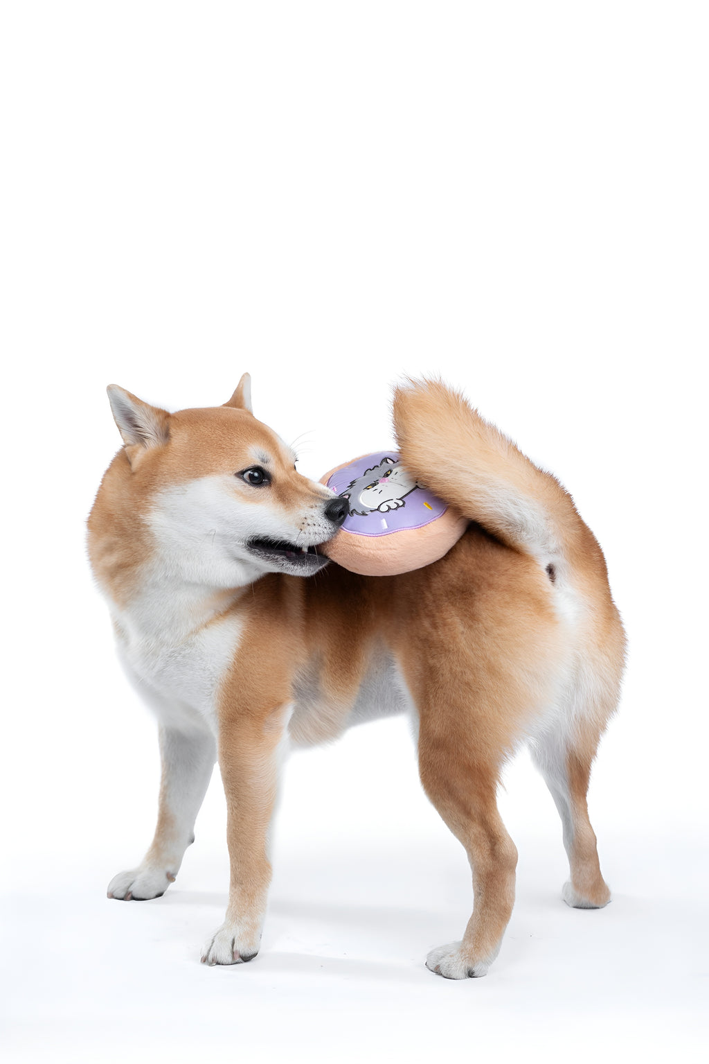 Grey Cat Donut Plush Toy