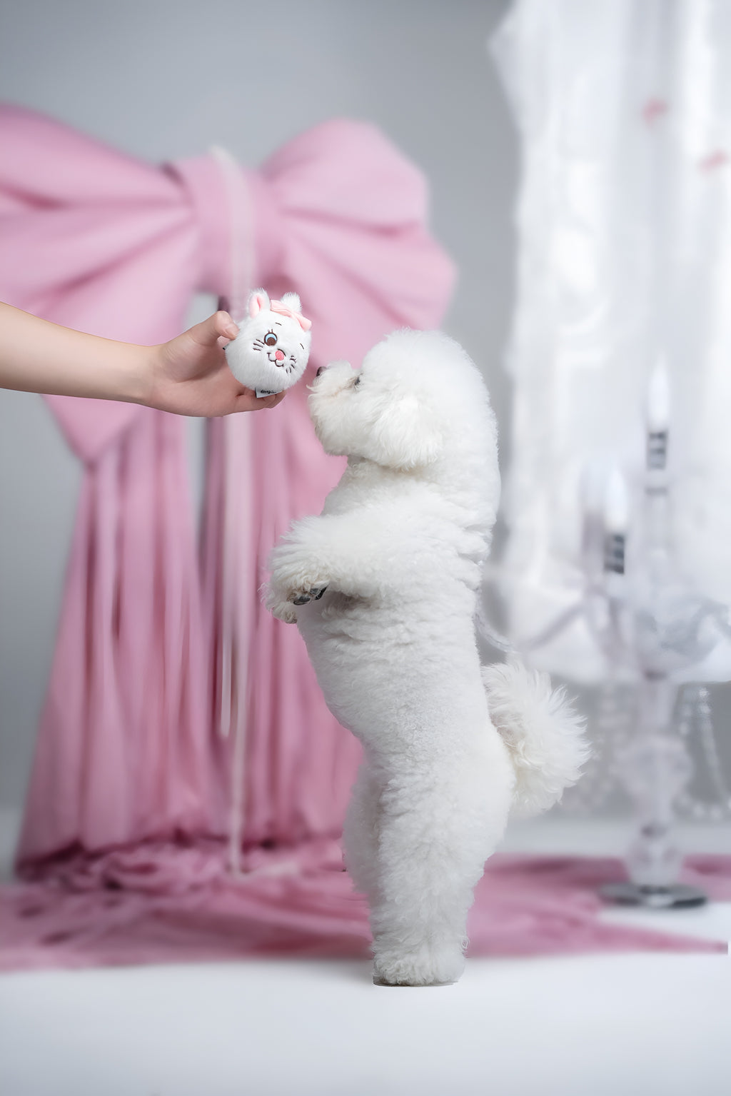 Marie Plush Ball Toy