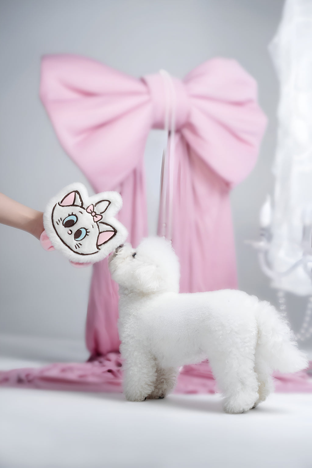 Marie Face Crinkle Toy! 🎀🐱