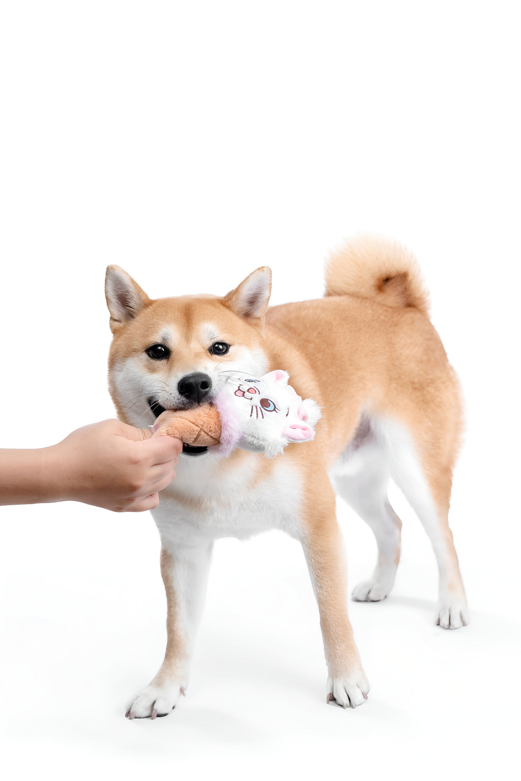 Marie Ice Cream Plush Toy