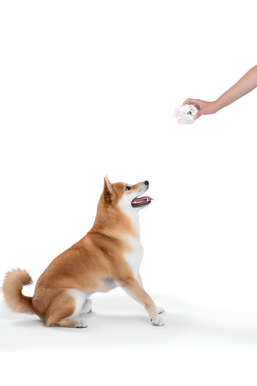 Marie Plush Ball Toy