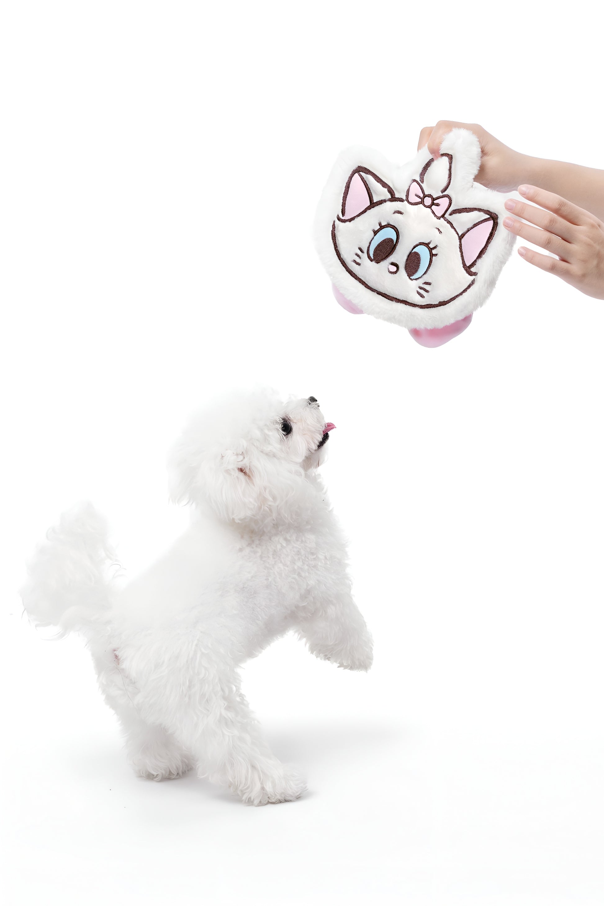 Marie Face Crinkle Toy! 🎀🐱