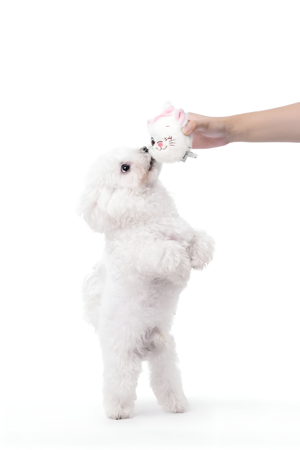 Marie Plush Ball Toy