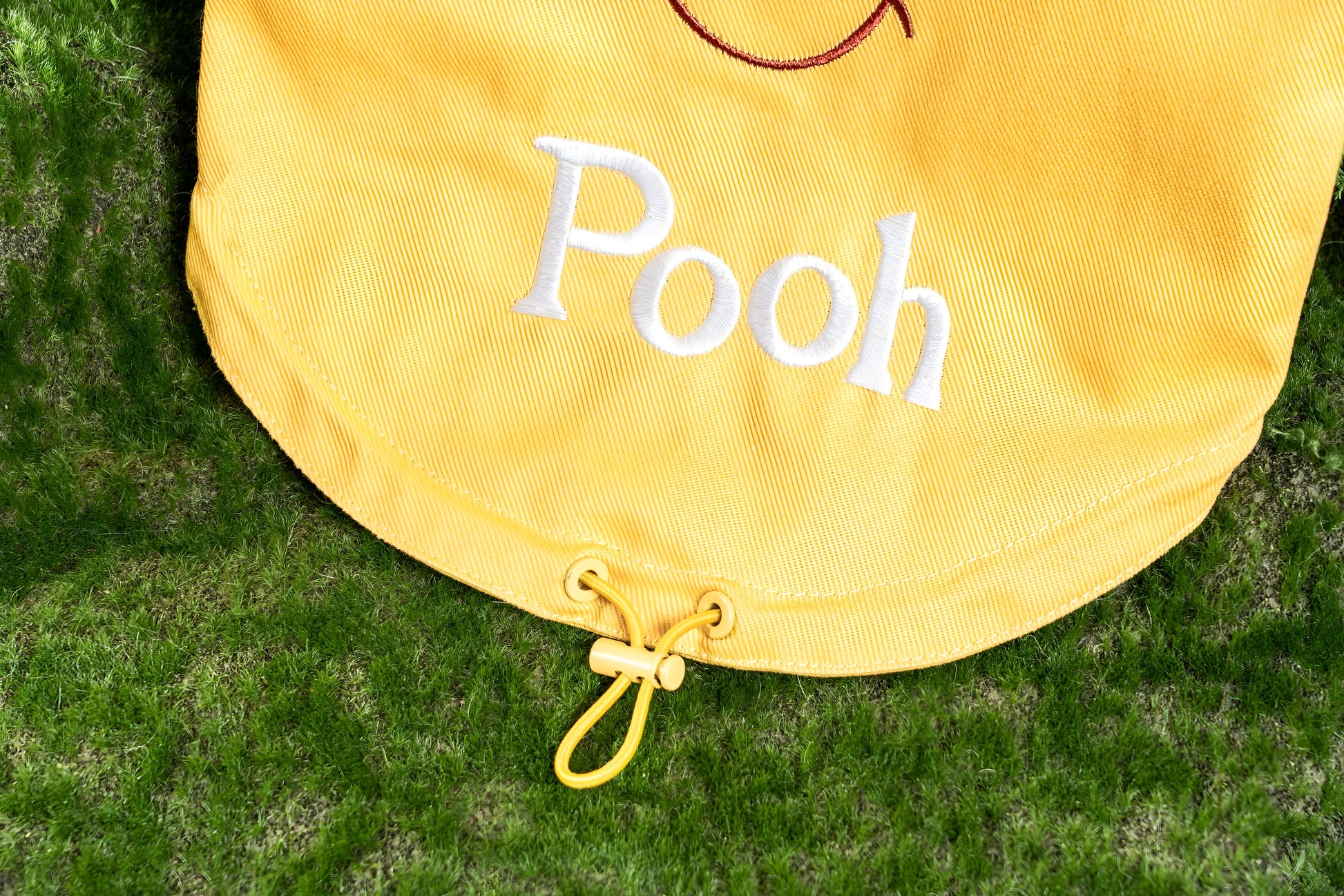 Winnie the Pooh Harness Vest.