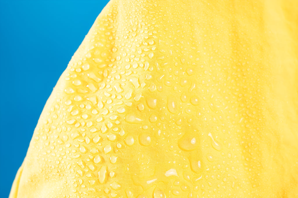 Winnie the Pooh Dog Raincoat.