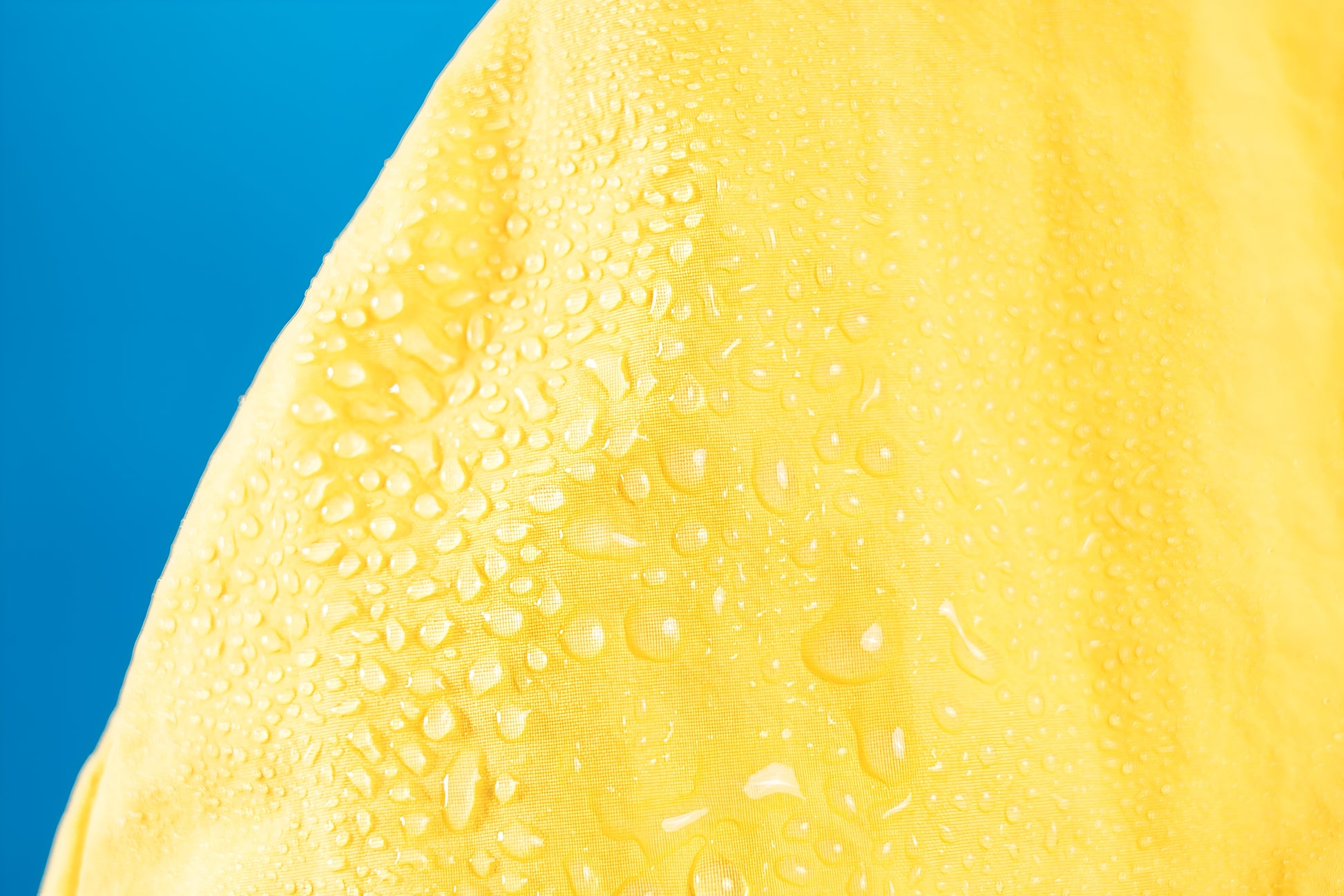 Winnie the Pooh Dog Raincoat.