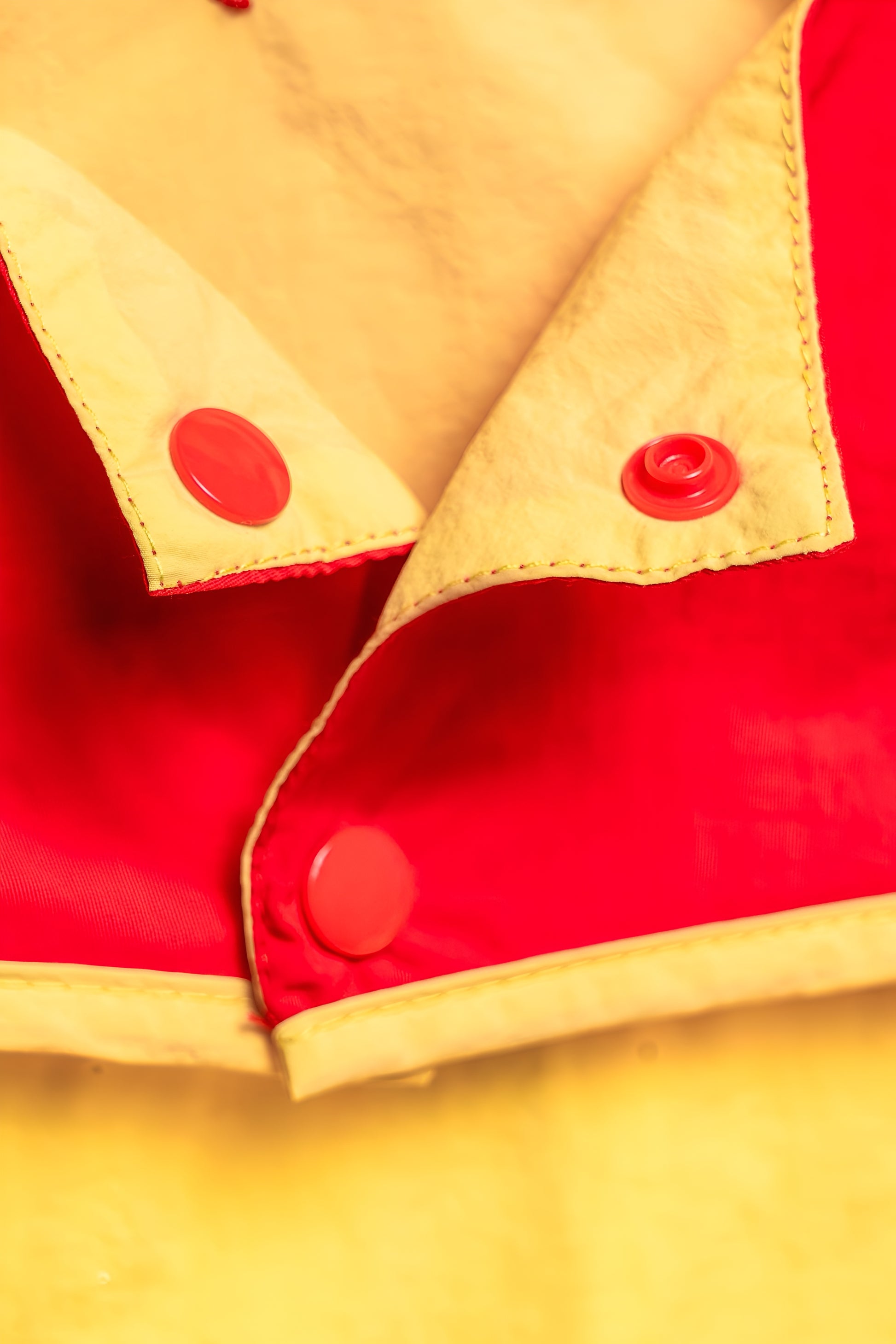 Winnie the Pooh Dog Raincoat.