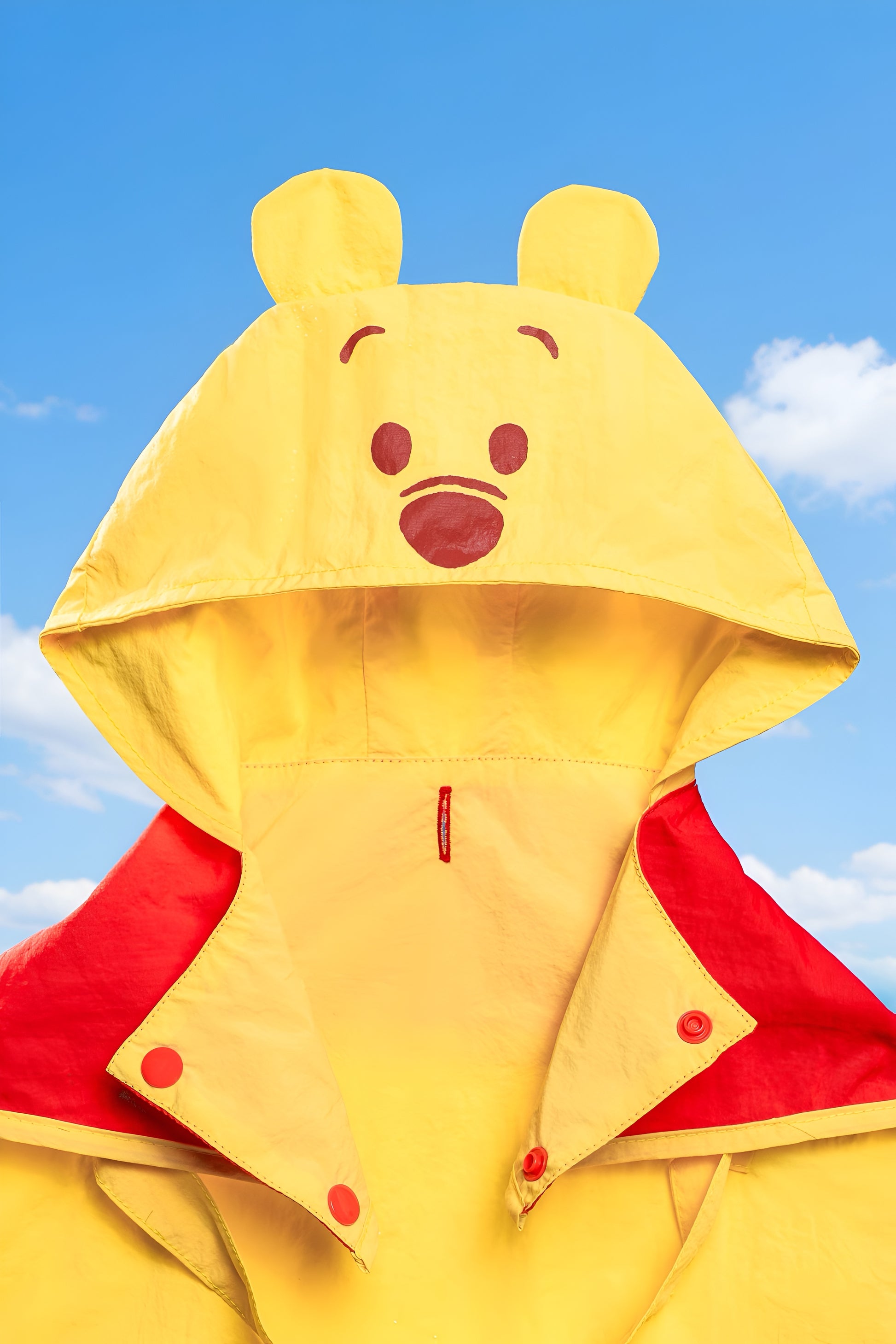 Winnie the Pooh Dog Raincoat.