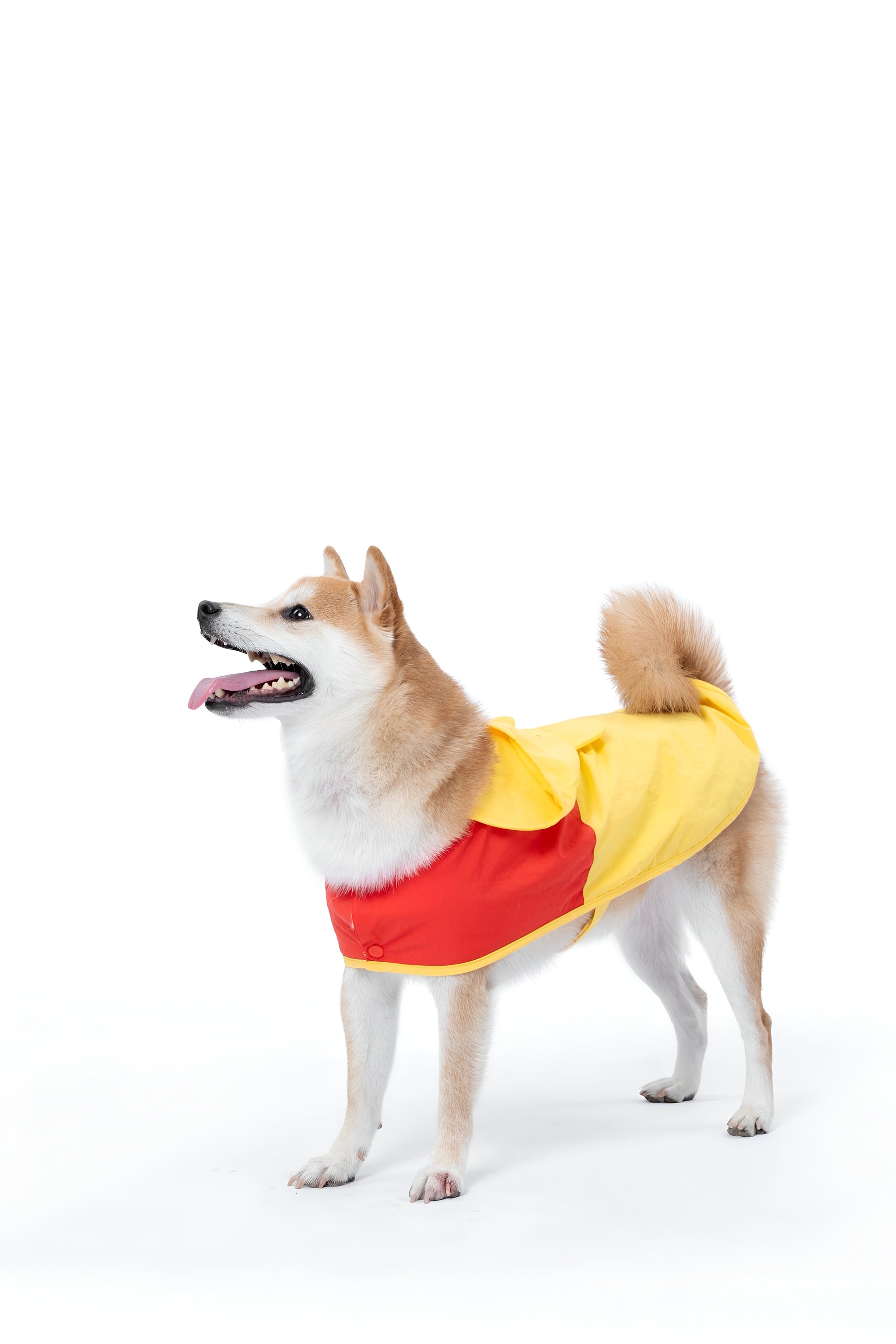 Winnie the Pooh Dog Raincoat.