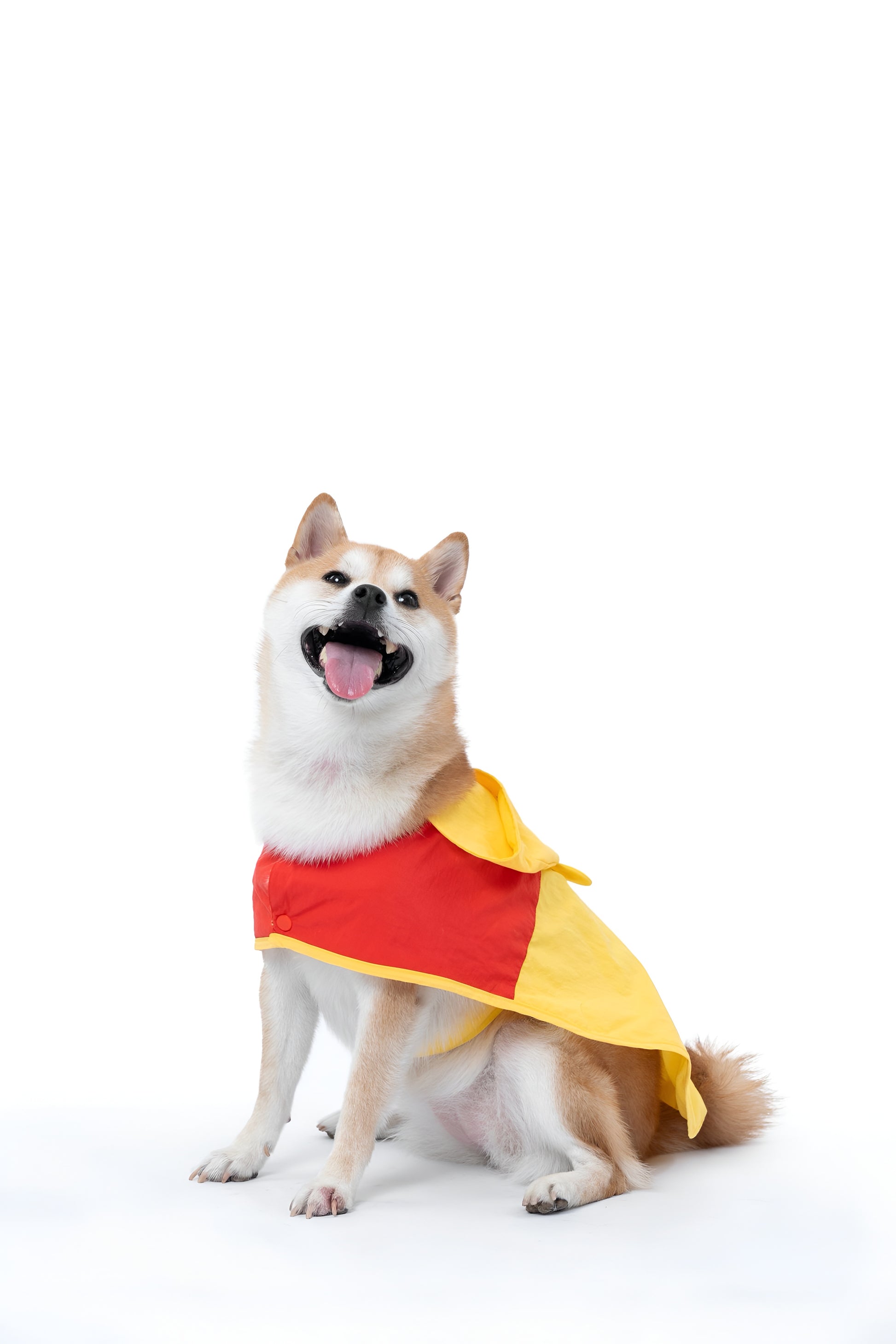 Winnie the Pooh Dog Raincoat.