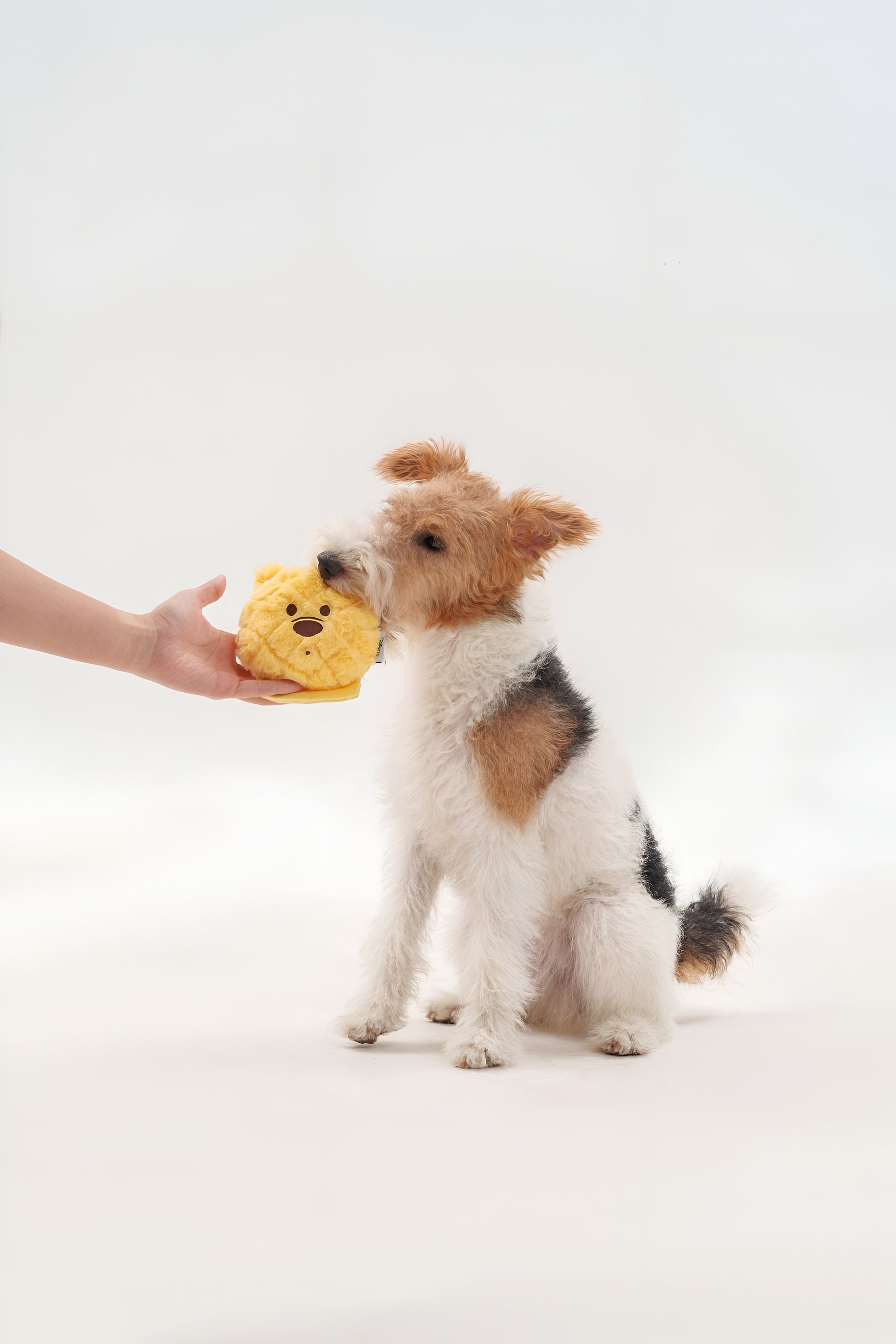 🧸 Winnie Waffle Plush Toy – Sweet, Squishy &amp; Oh-So-Huggable!