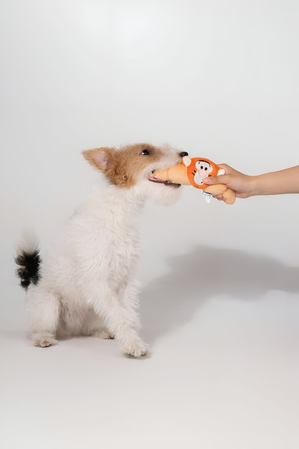 🧡 Tigger Croissant Plush Toy – Soft, Bouncy & Full of Fun! 🥐