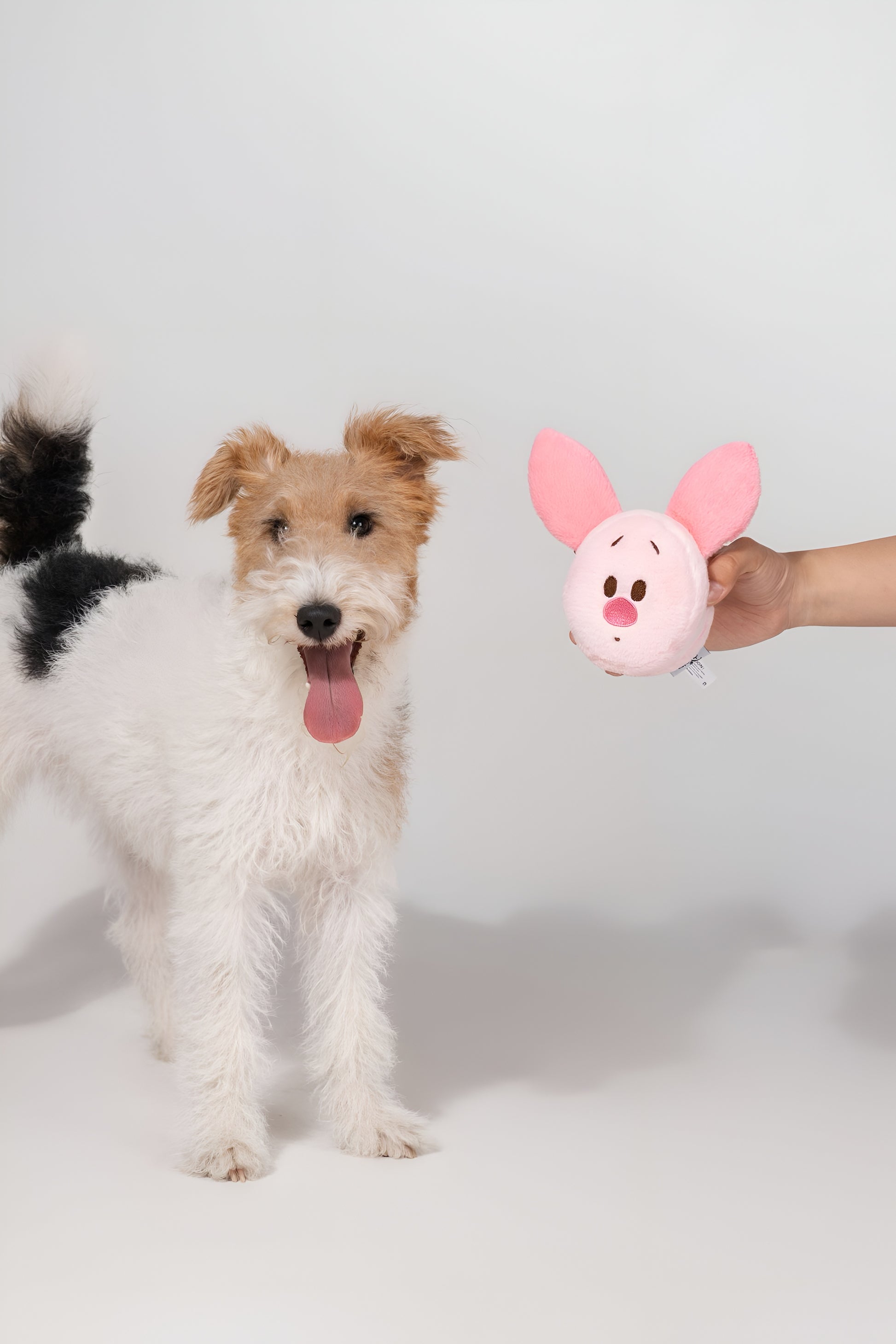 🌸 Piglet Plush Toy – Soft, Sweet & Perfect for Cuddles! 🐾