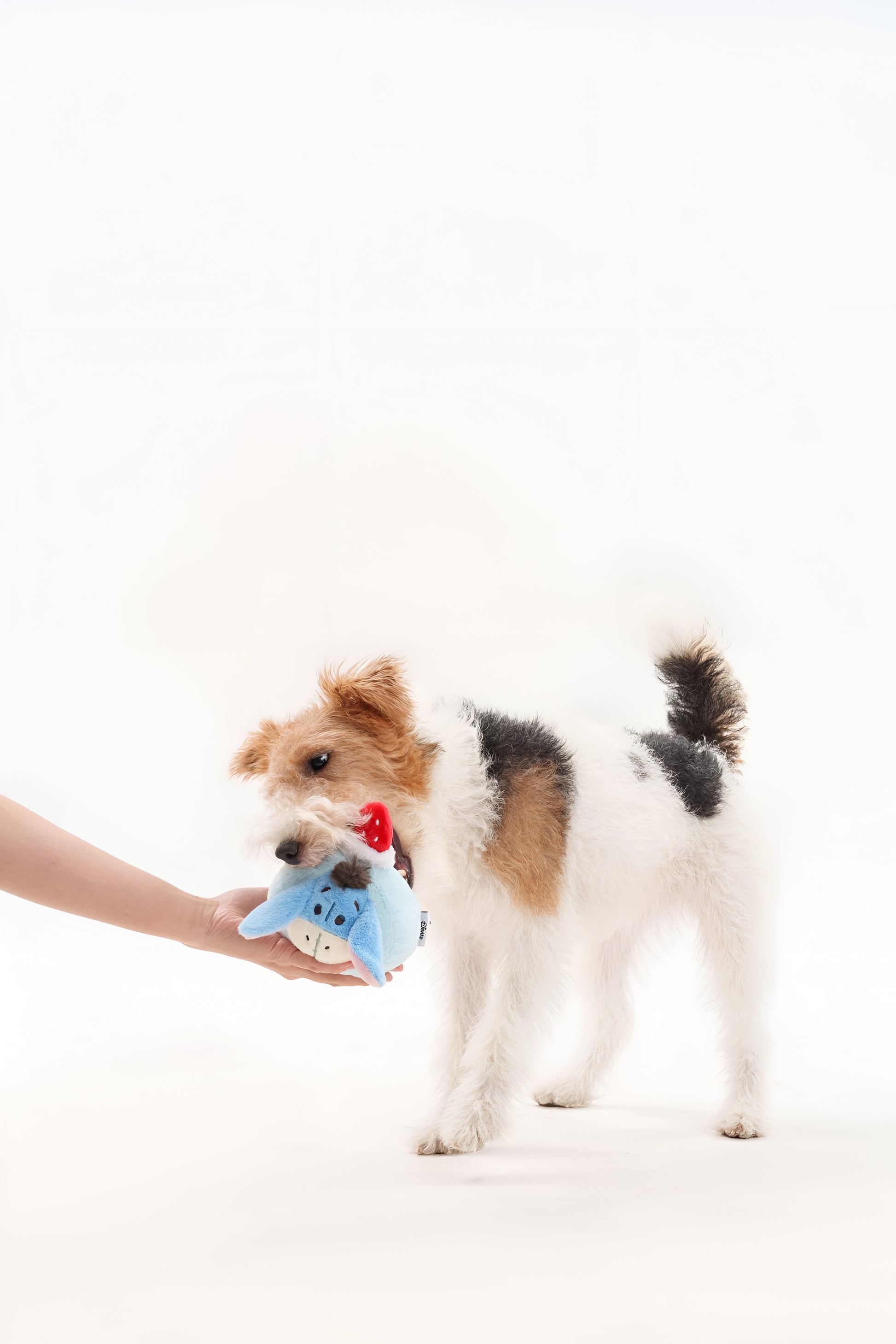 💙 Eeyore Plush Toy – Gentle, Cuddly & Full of Comfort! 🐾