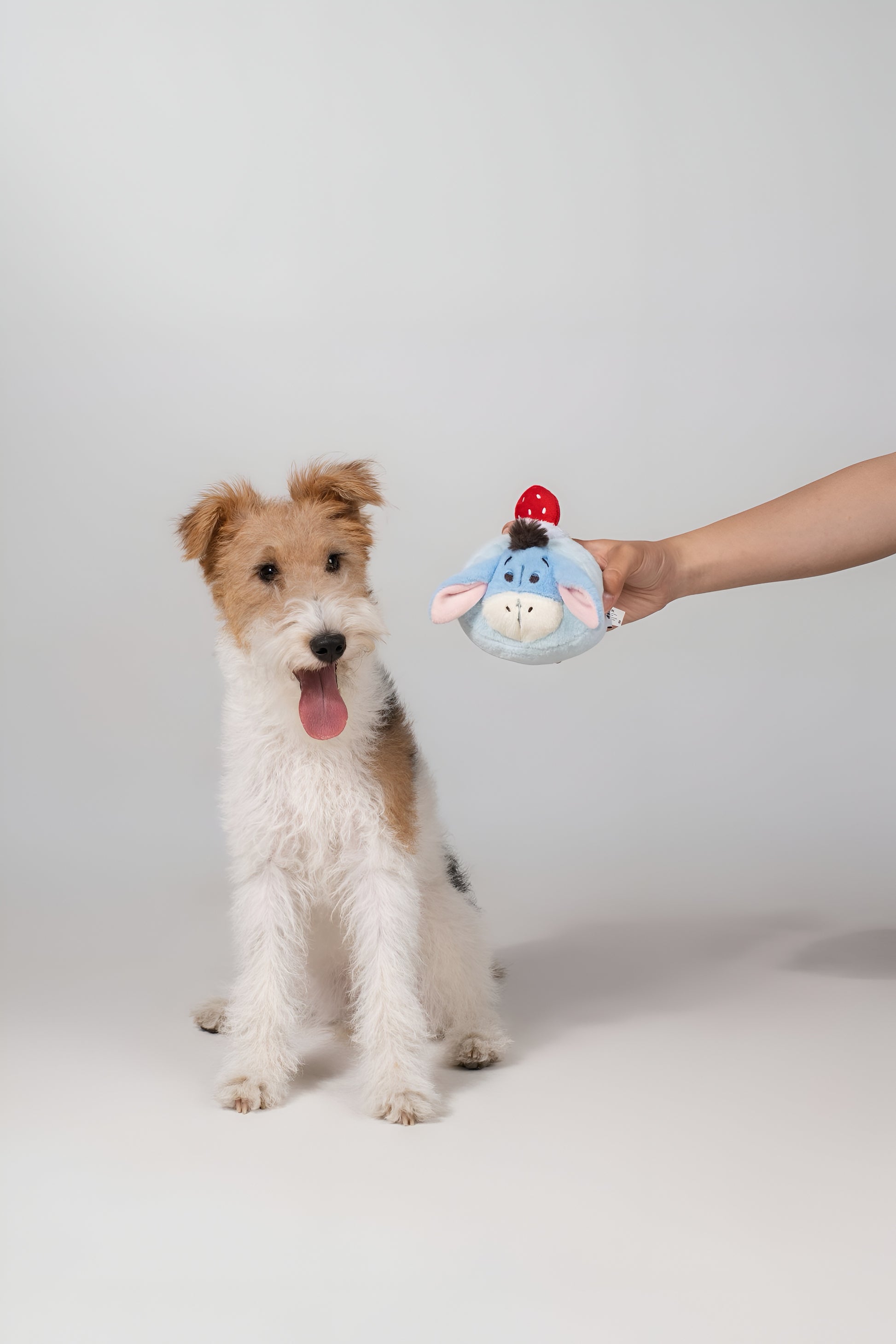 💙 Eeyore Plush Toy – Gentle, Cuddly & Full of Comfort! 🐾