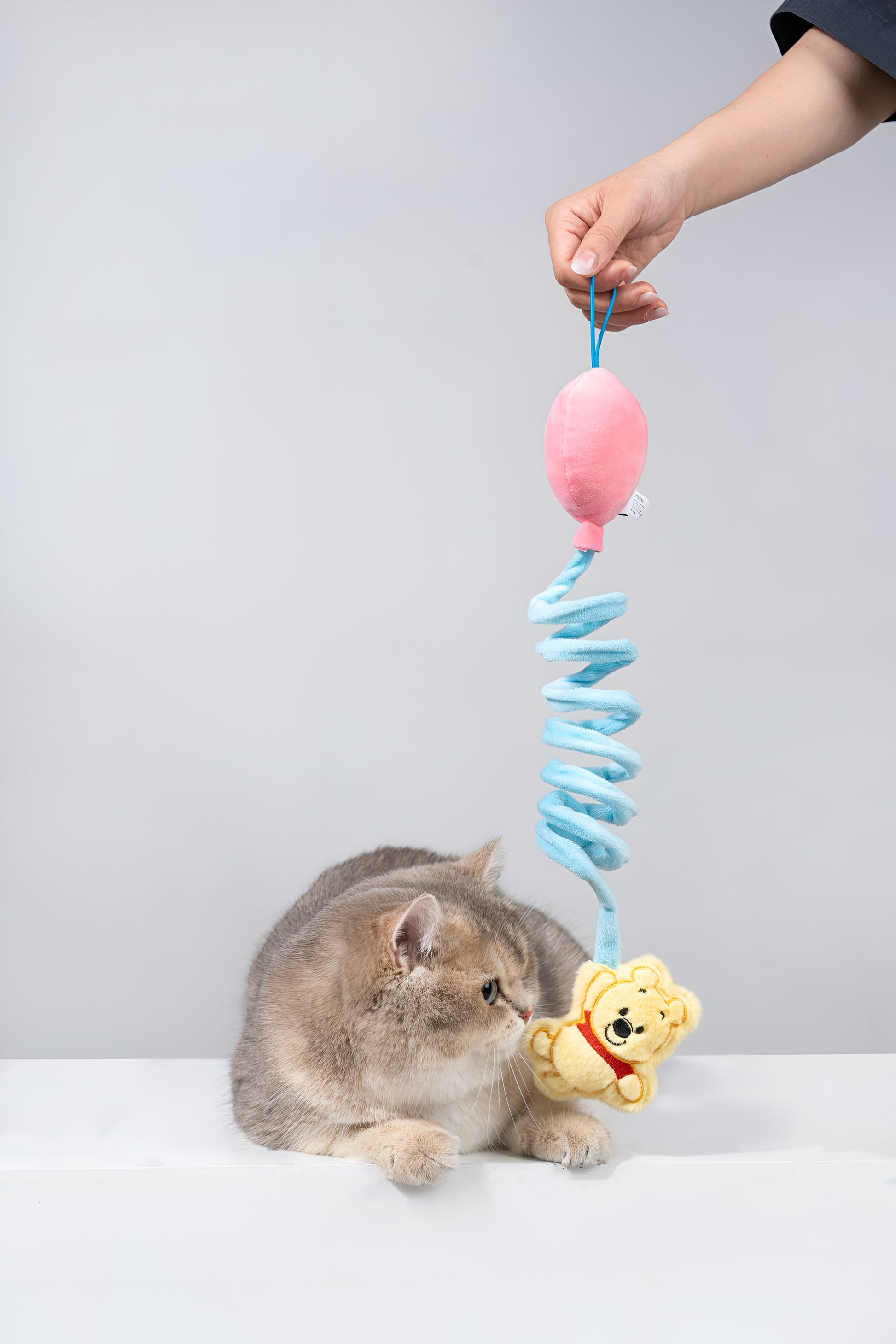 Winnie the Pooh Spring Toy.