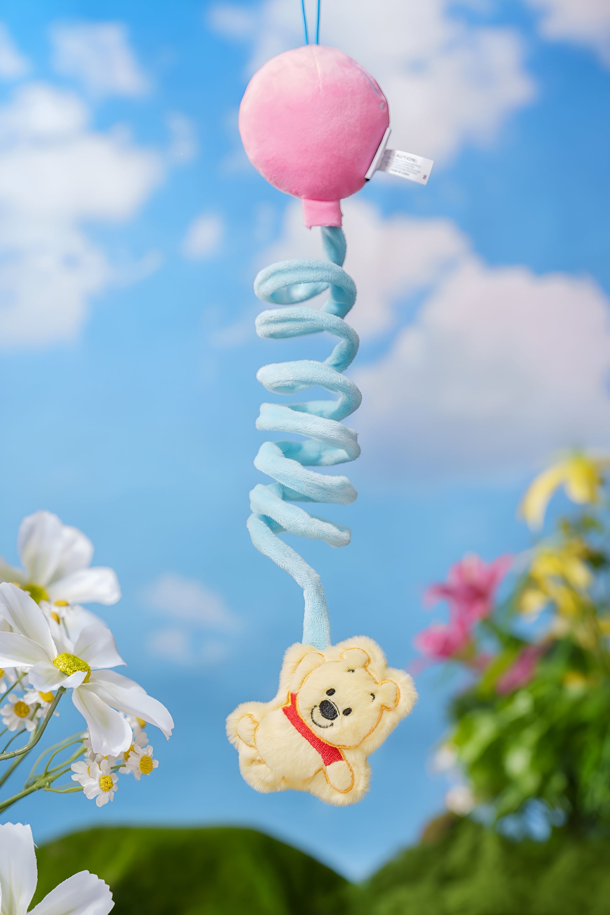 Winnie the Pooh Spring Toy.