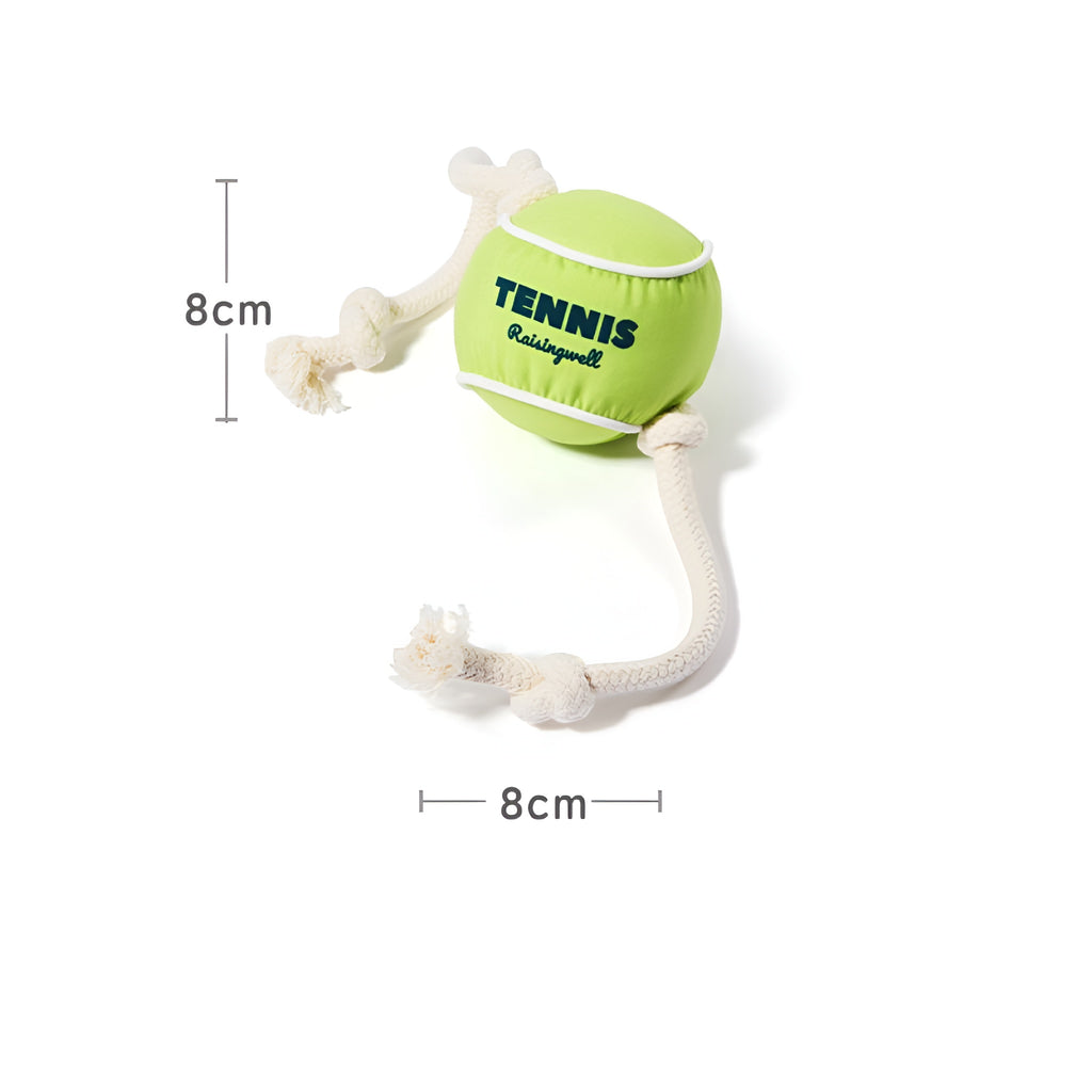 Tennis Ball Enrichment Toy! 🎾🐶