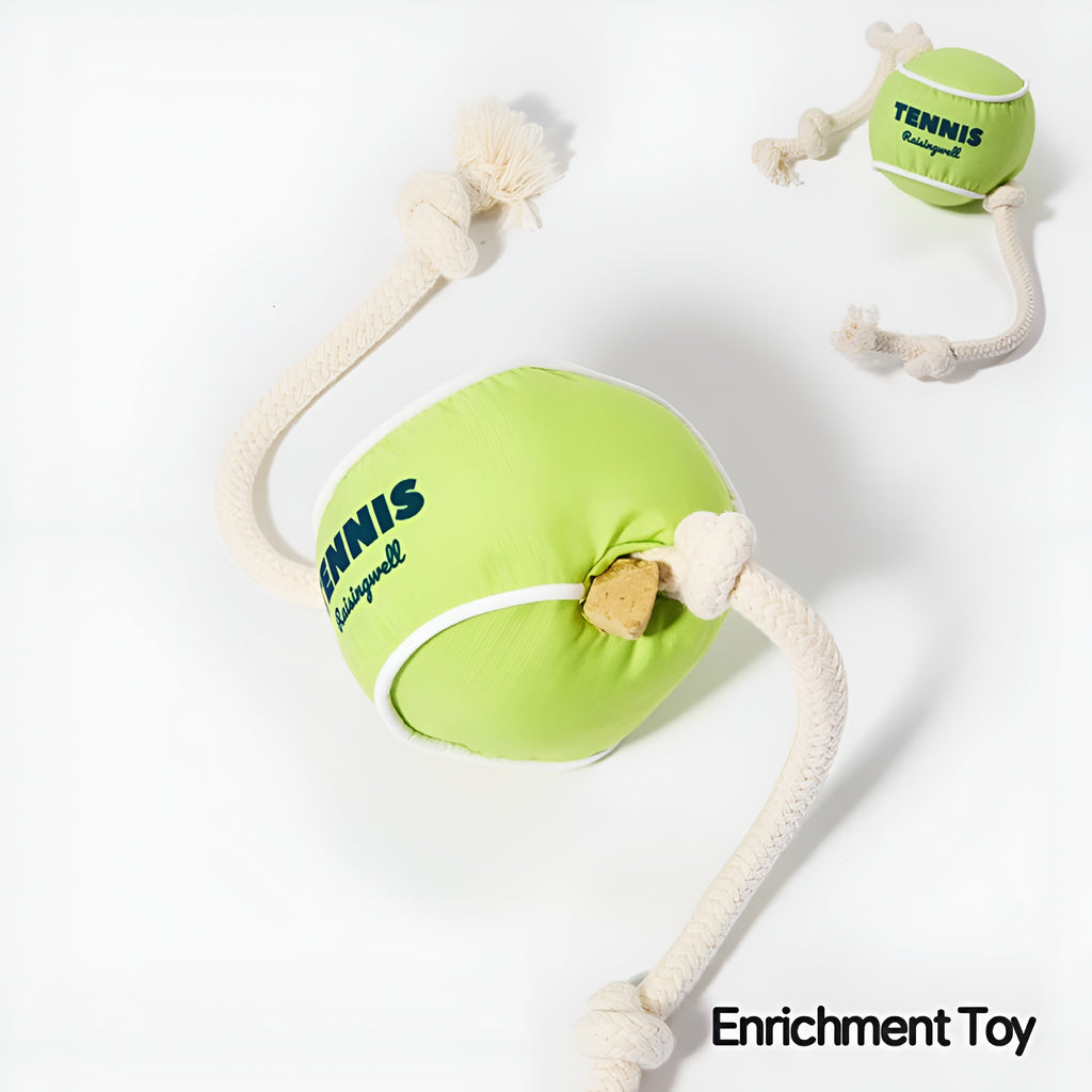 Tennis Ball Enrichment Toy! 🎾🐶