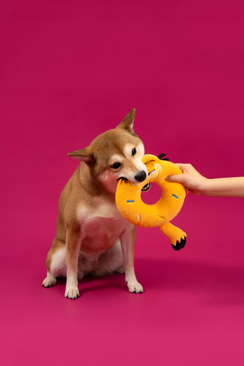 🍩 Garfield Donut Plush Toy – Sweet, Sassy & So Much Fun! 🐾