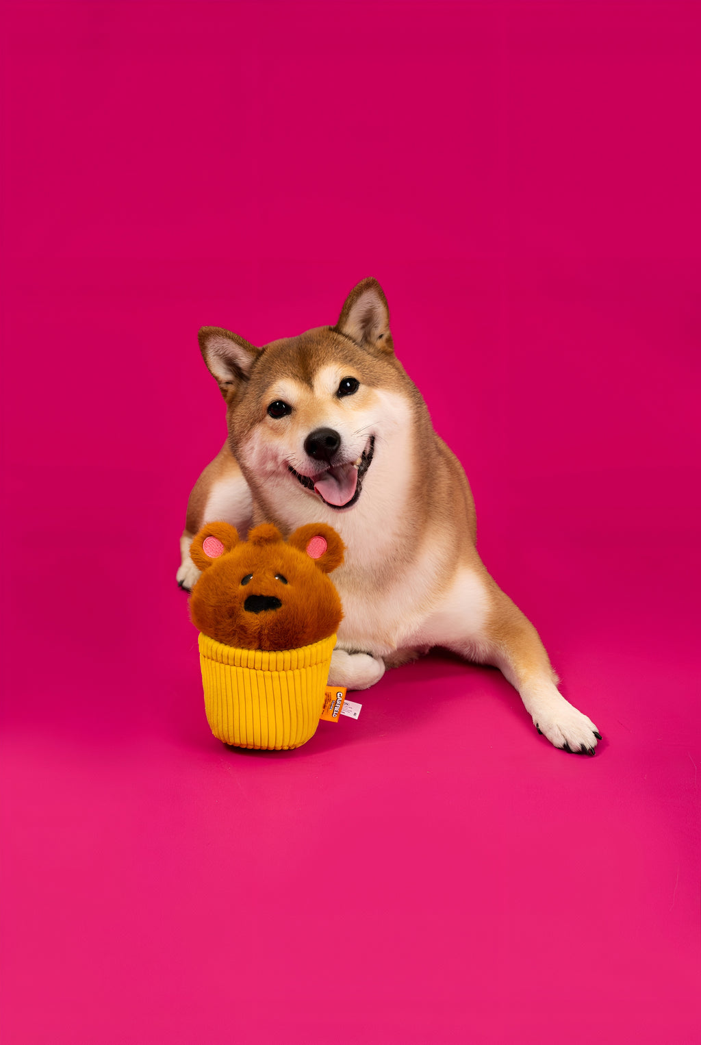 🧁 Pochi Cupcake Plush Toy – Playful, Sweet & Full of Tail Wags! 🐾