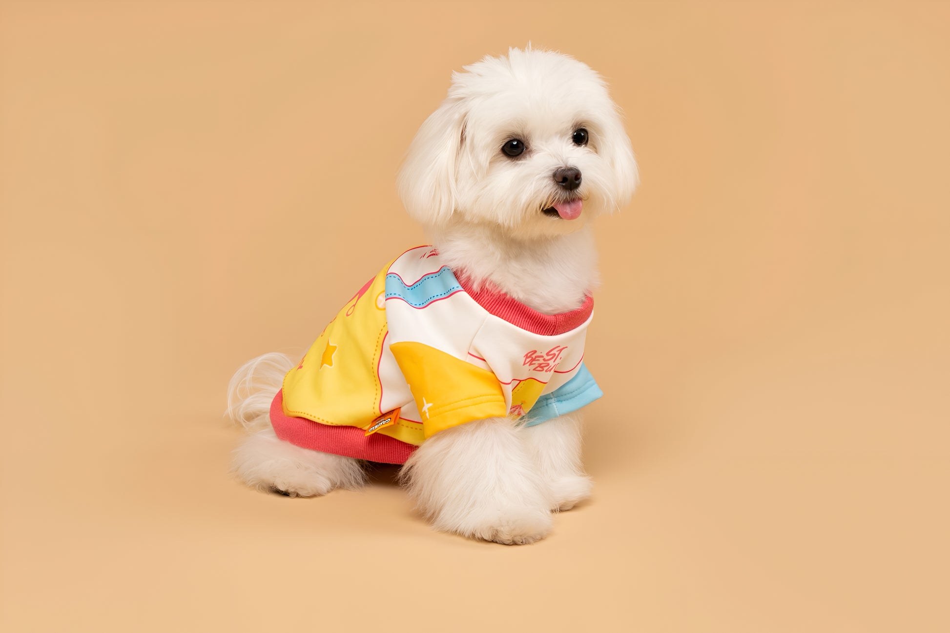 Garfield “Anti Monday” Dog Shirt.