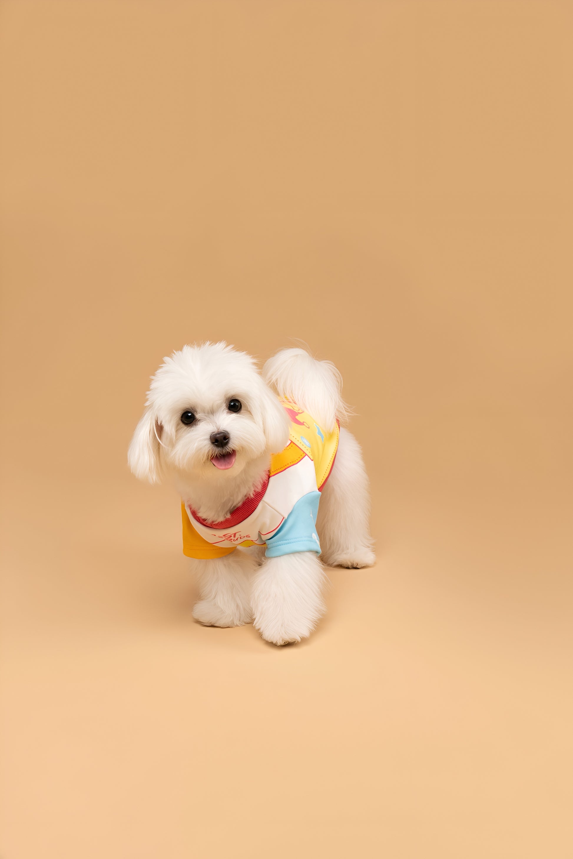 Garfield “Anti Monday” Dog Shirt.