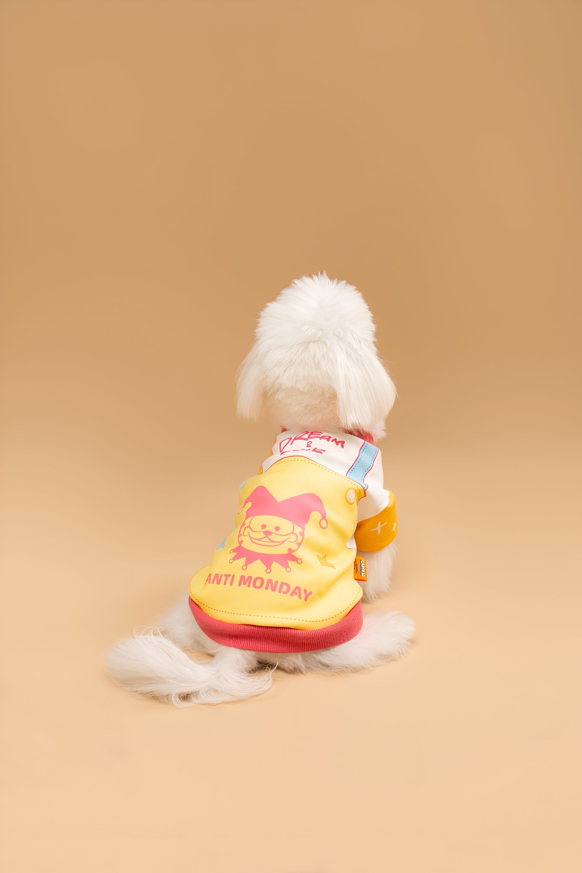 Garfield “Anti Monday” Dog Shirt.