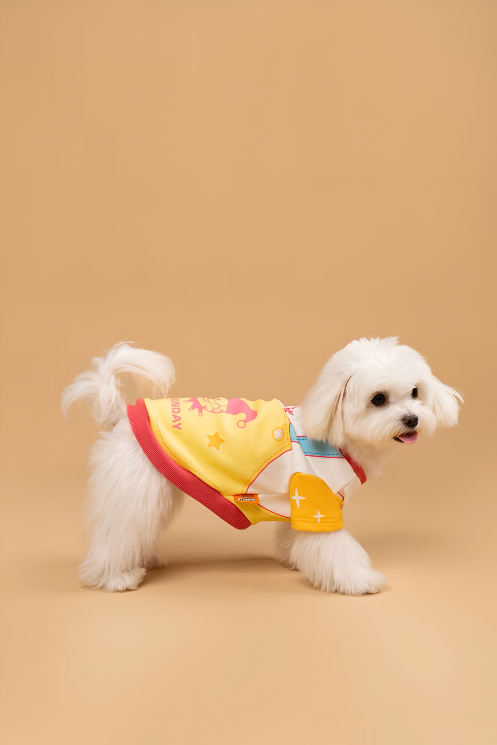 Garfield “Anti Monday” Dog Shirt.