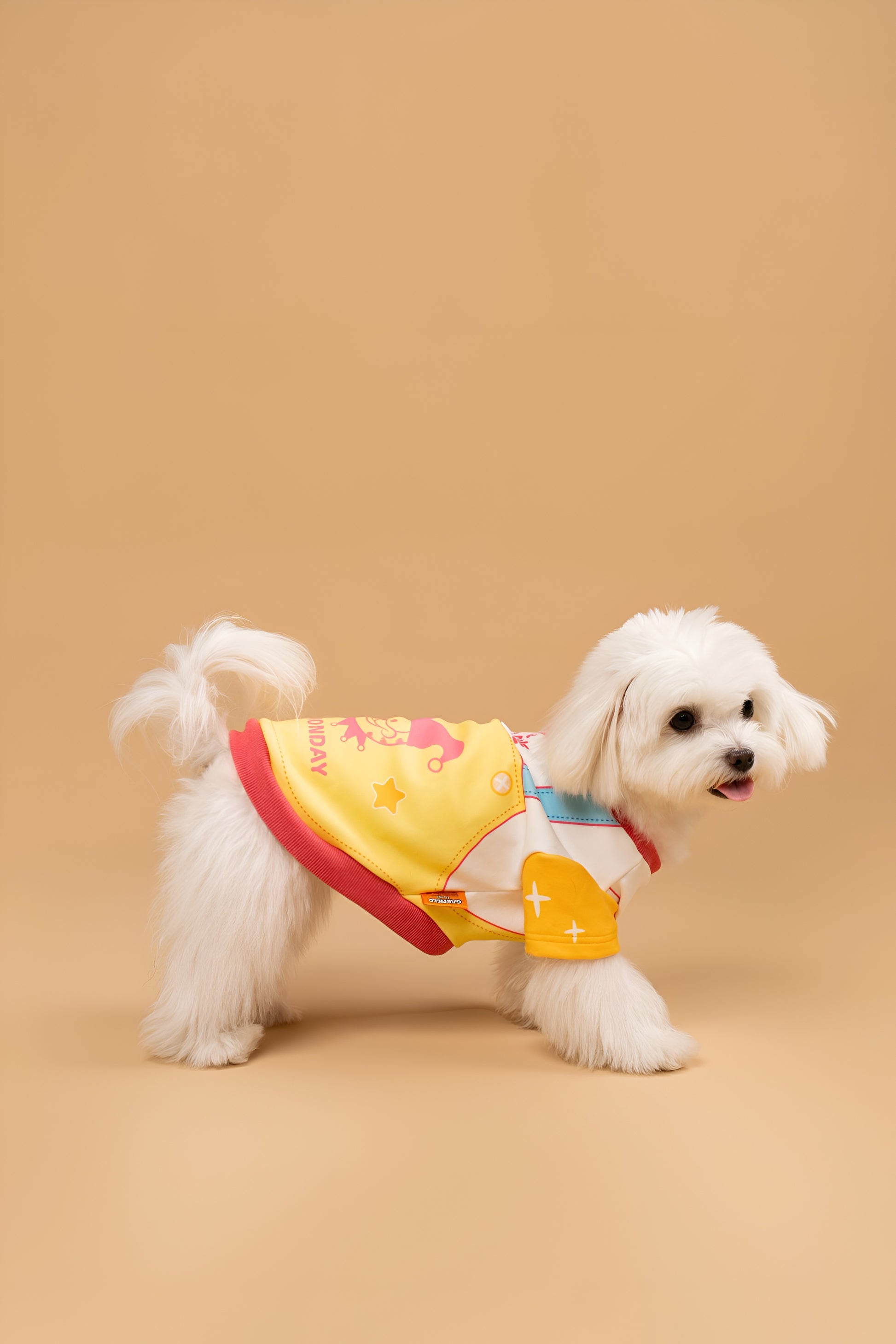 Garfield “Anti Monday” Dog Shirt.