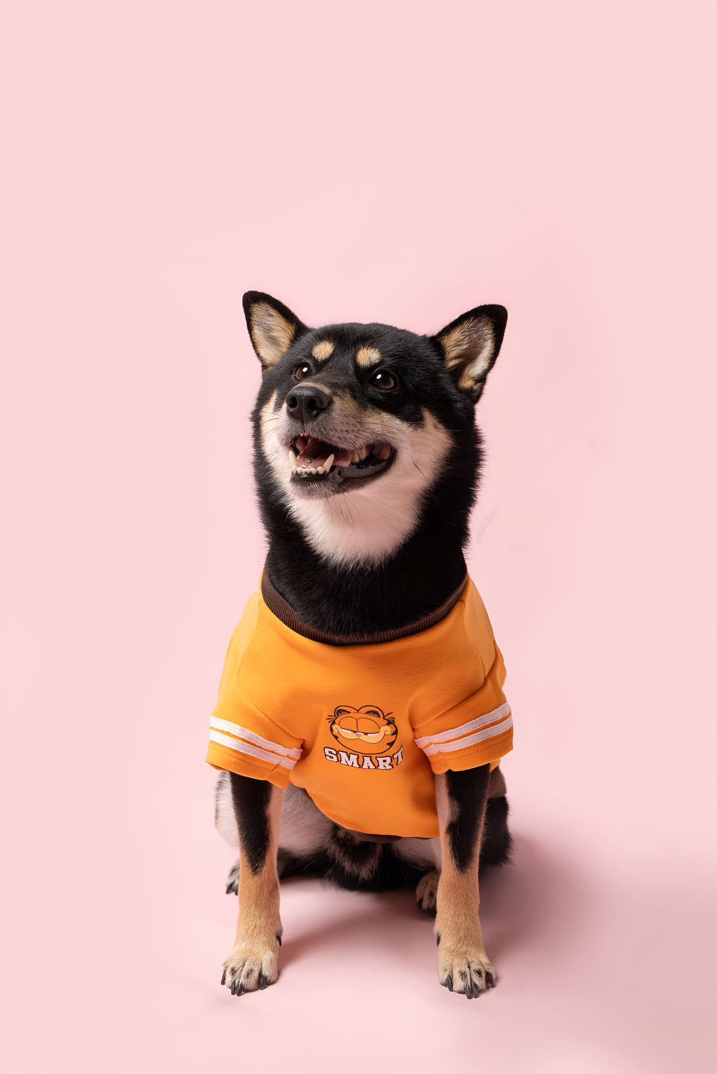 Garfield Face Dog Shirt.