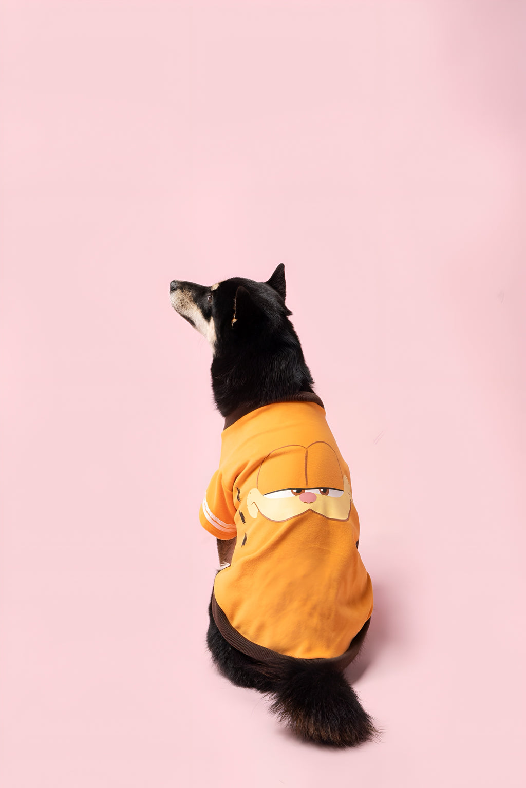 Garfield Face Dog Shirt.