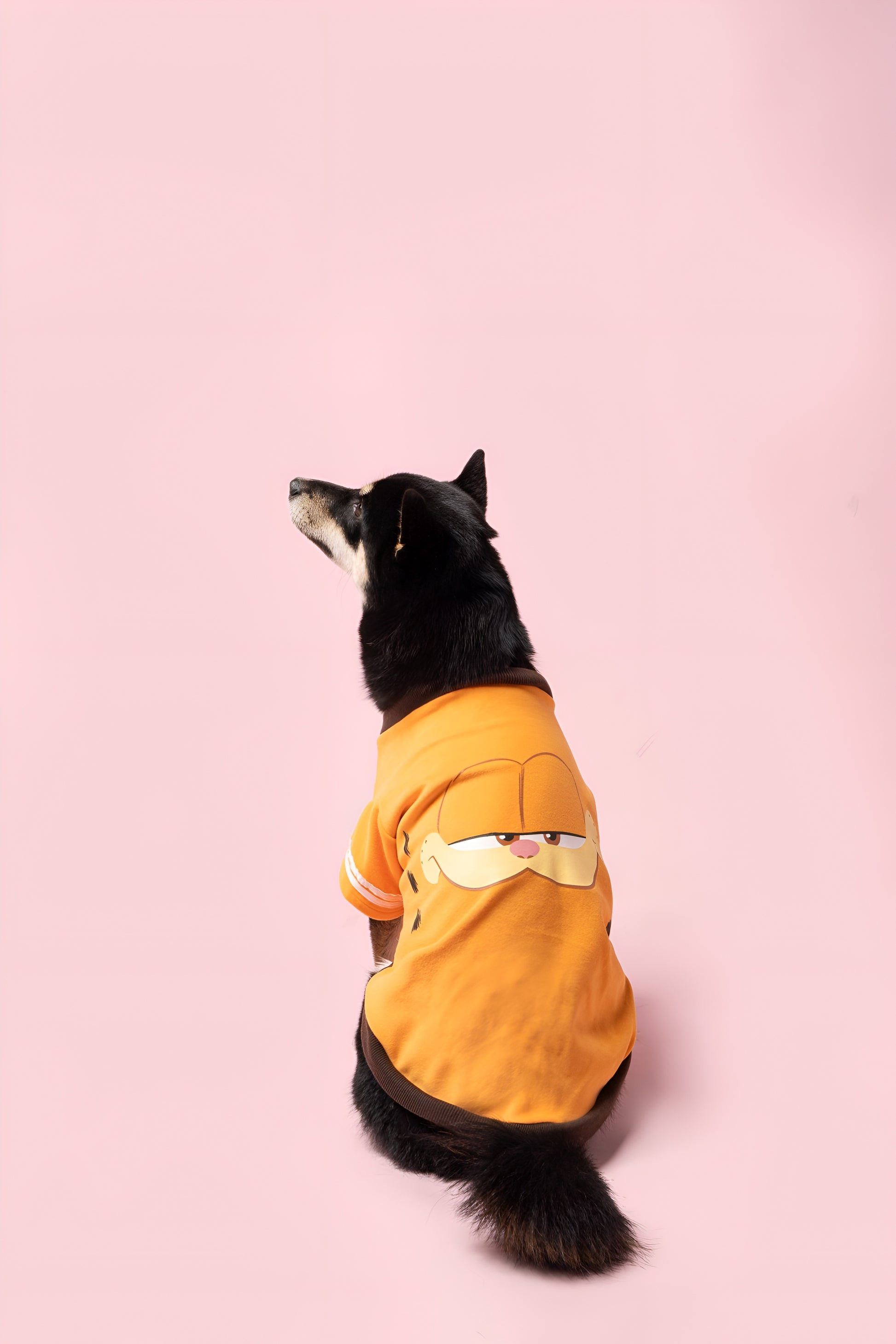 Garfield Face Dog Shirt.