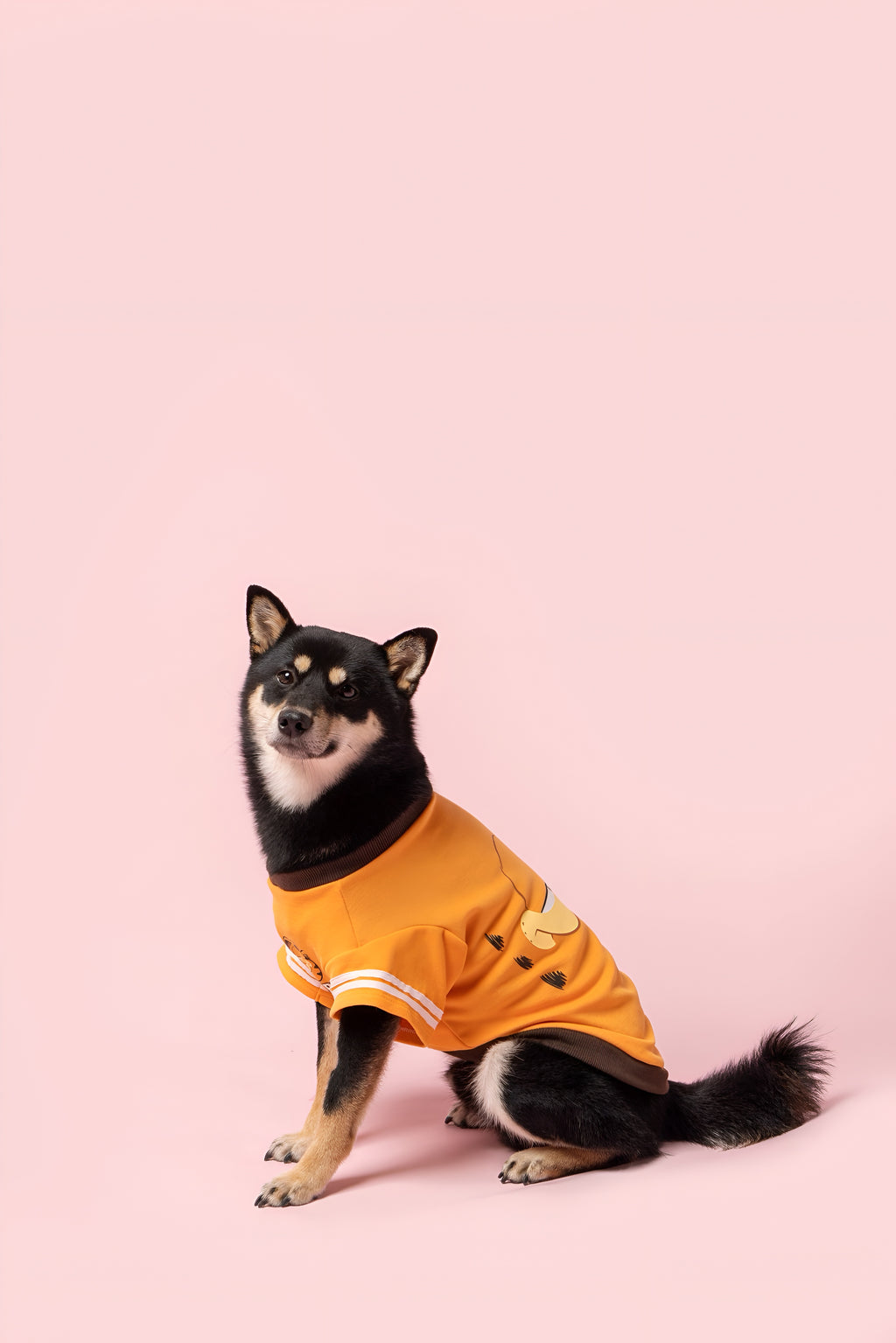 Garfield Face Dog Shirt.