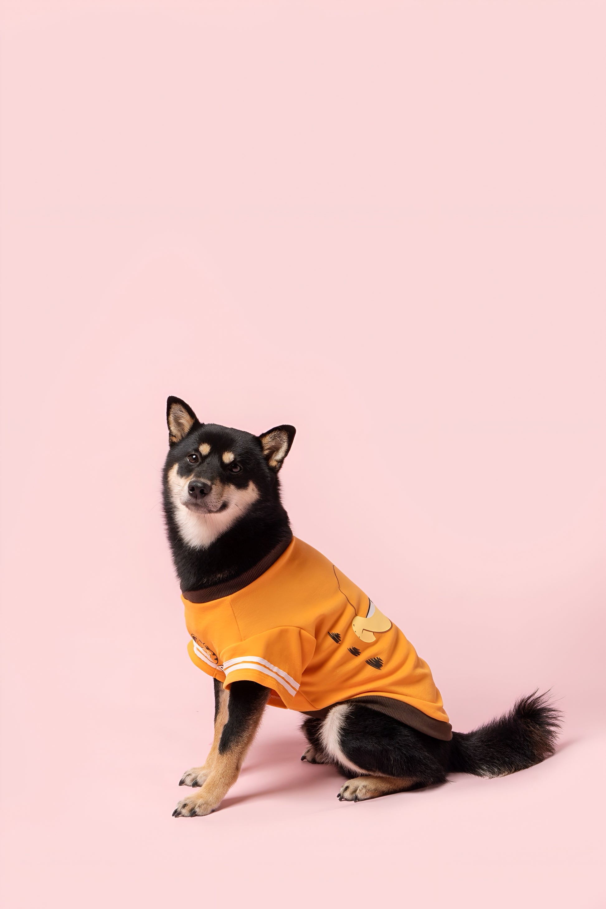 Garfield Face Dog Shirt.