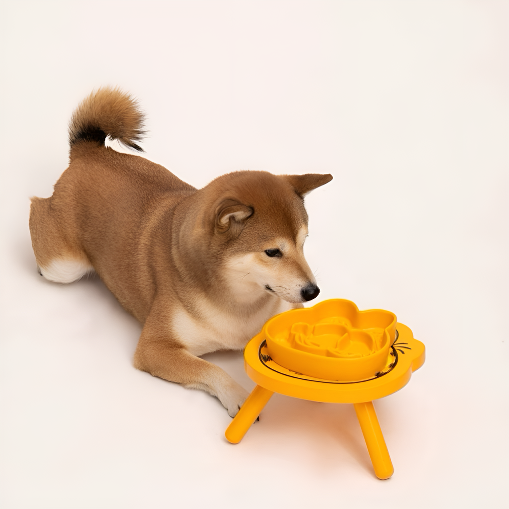 🐾 Garfield Slow Feeder Bowl — Playful Mealtime, Healthier Pets! 🍽️