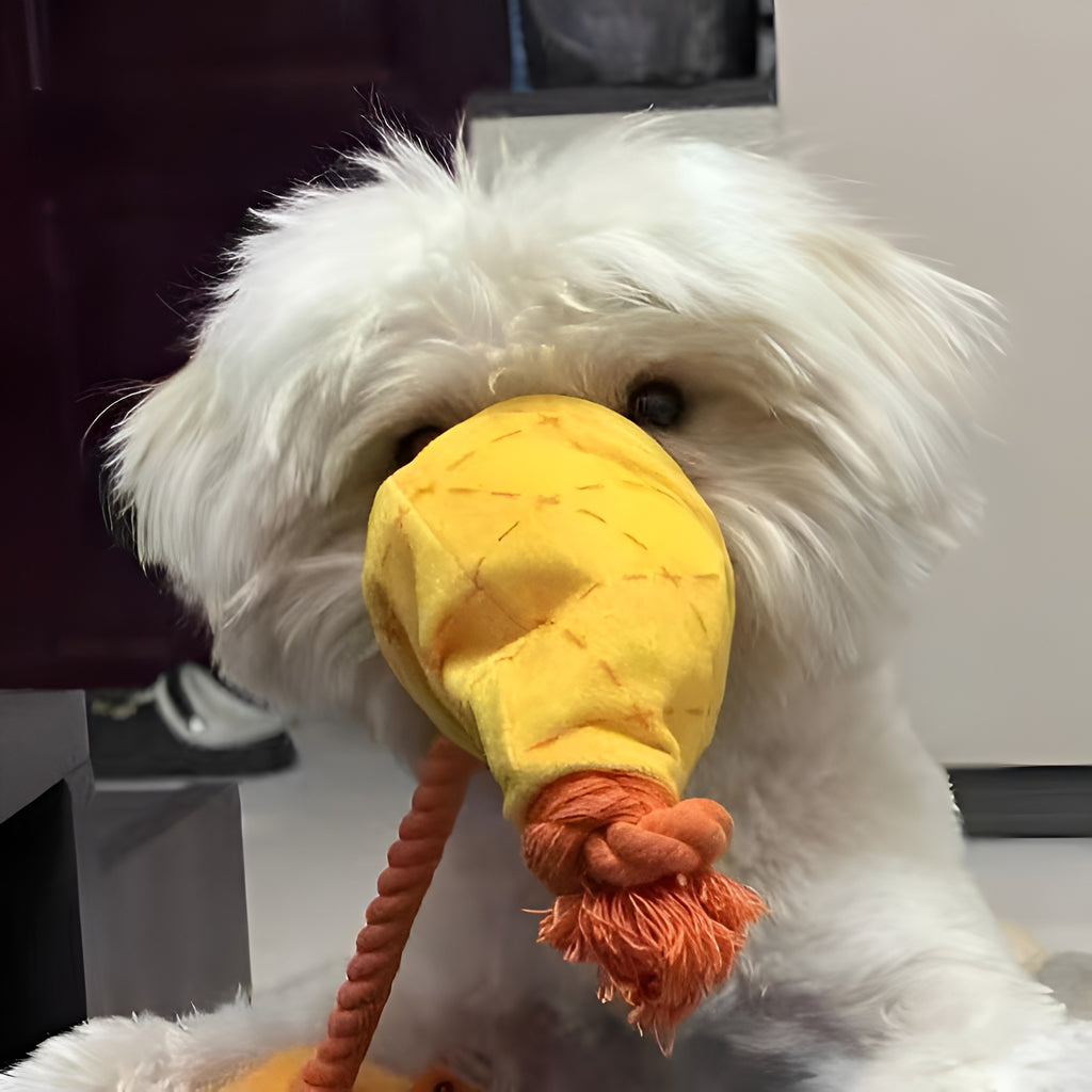 Garfield Ice Cream Cone Dog Toy